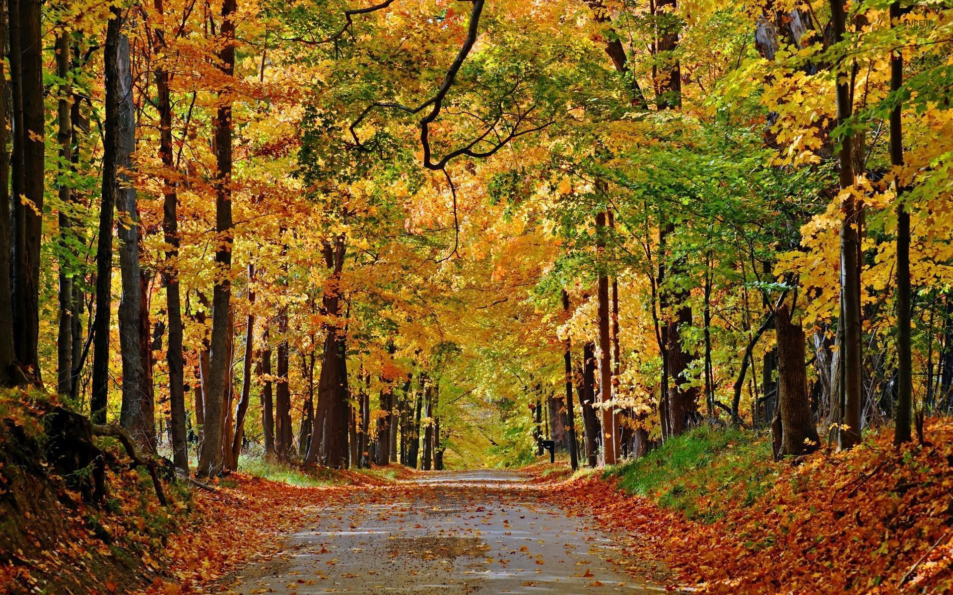 road  for mac 1920x1200