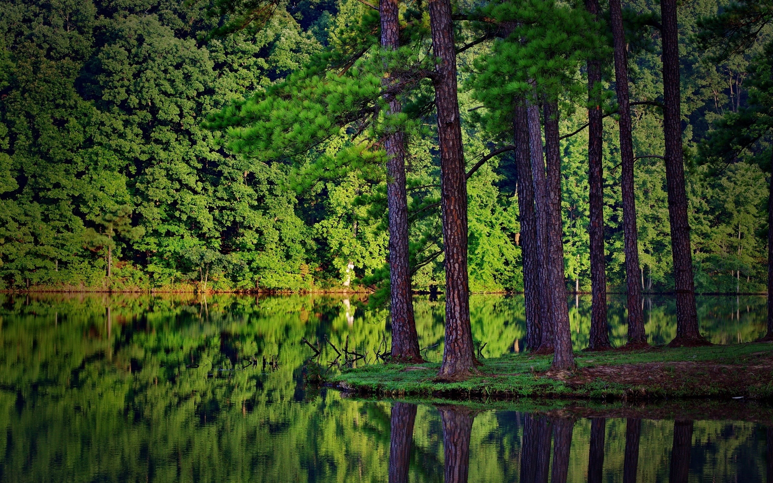 2560x1600 Widescreen lake