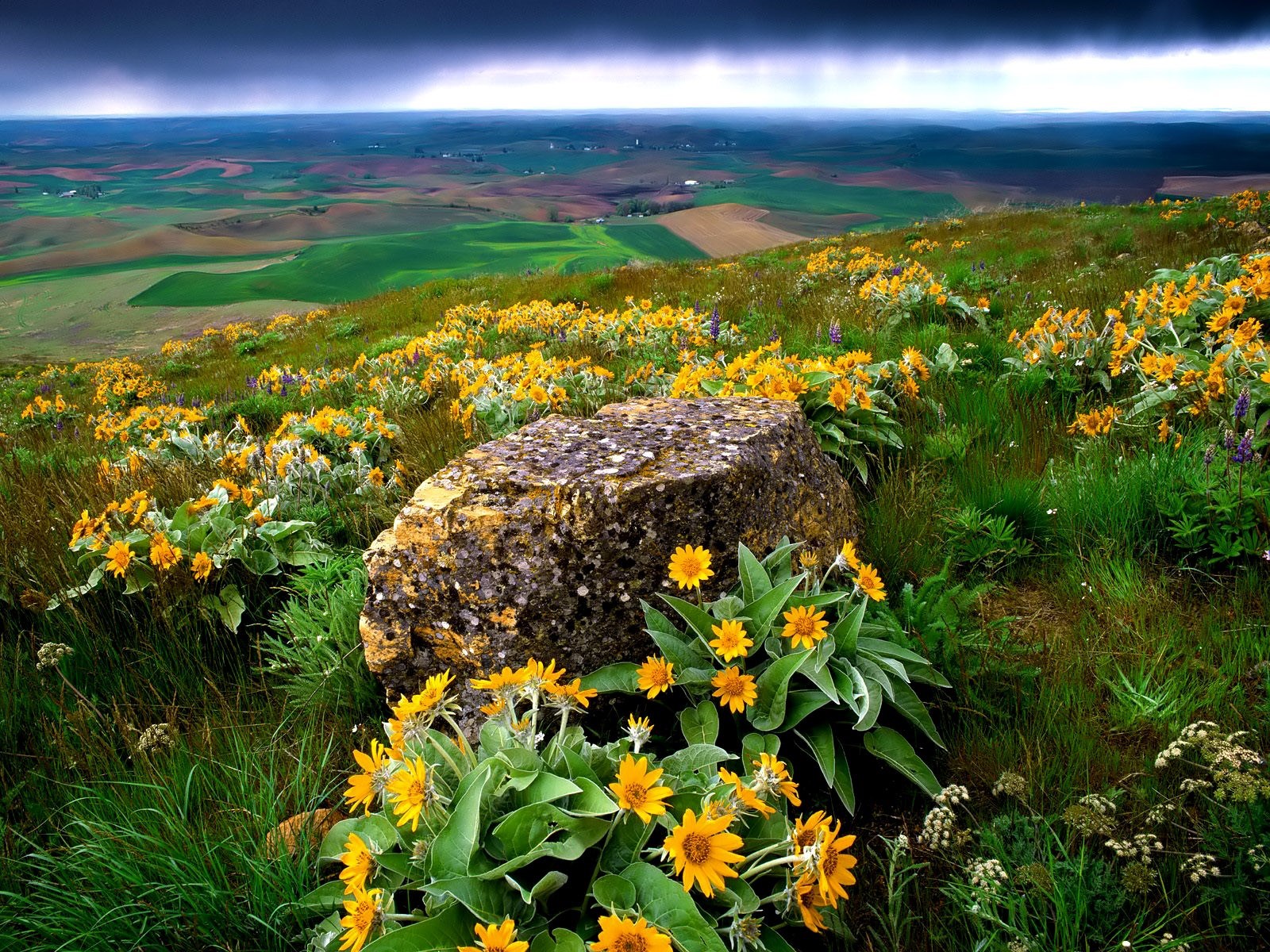 landscape  to download 1600x1200