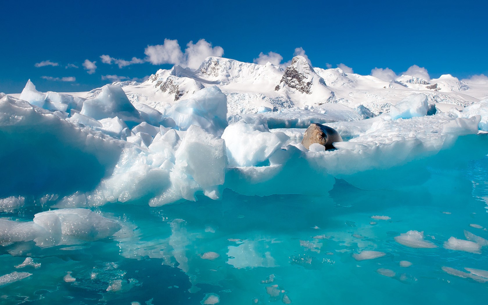ice  to download 1680x1050
