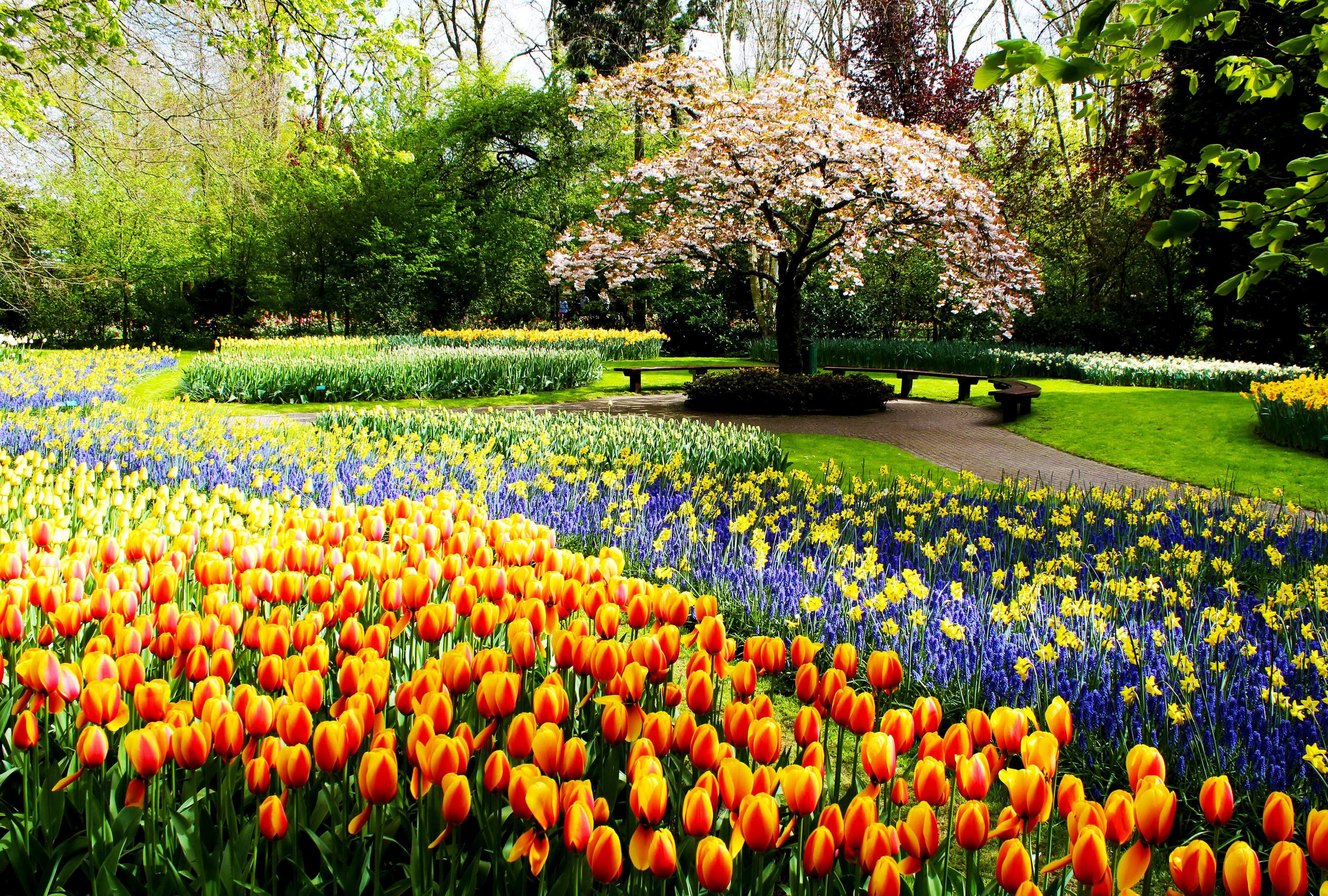 3000x2025 wallpaper desktop park