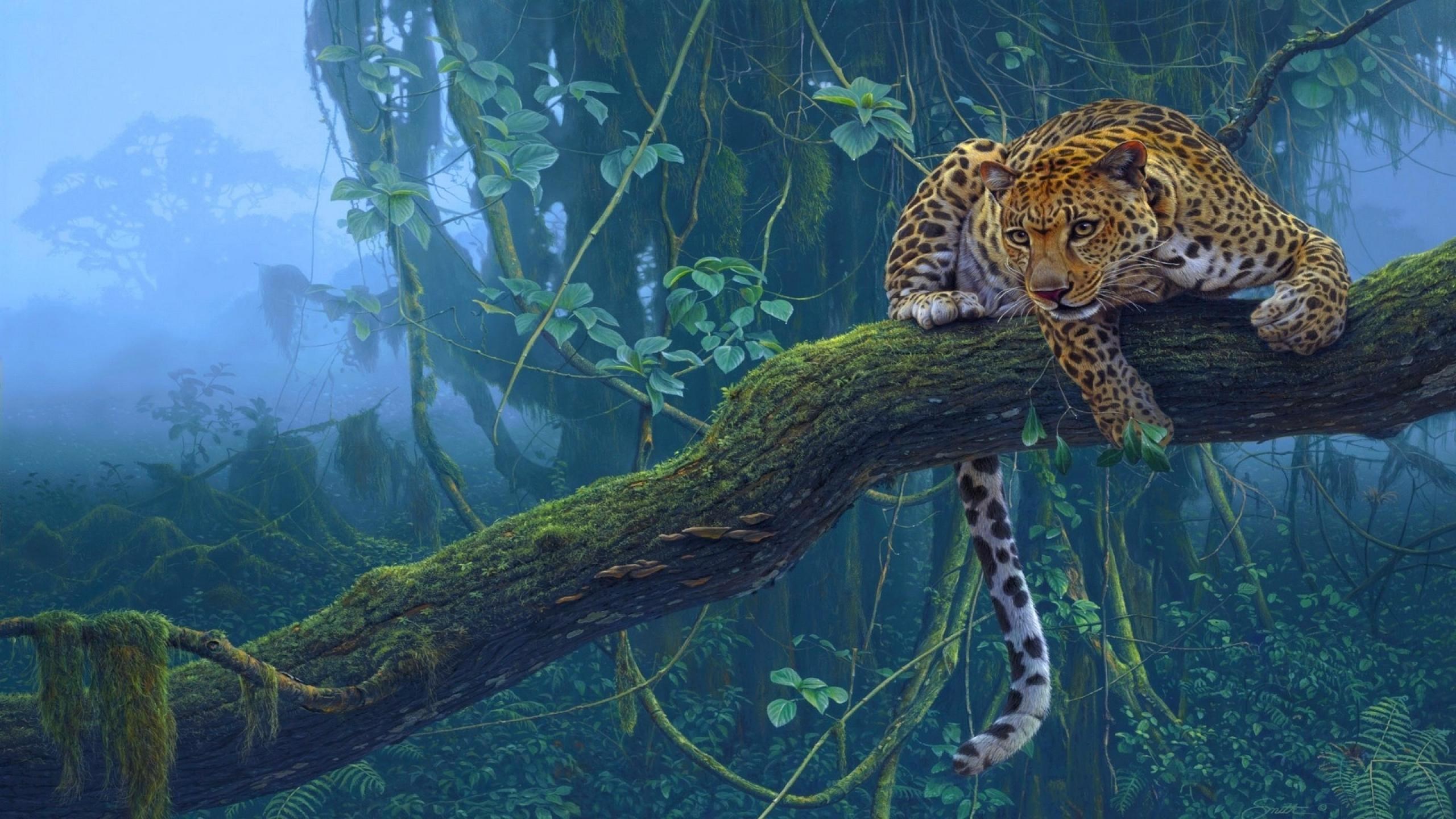 computer wallpaper for leopard