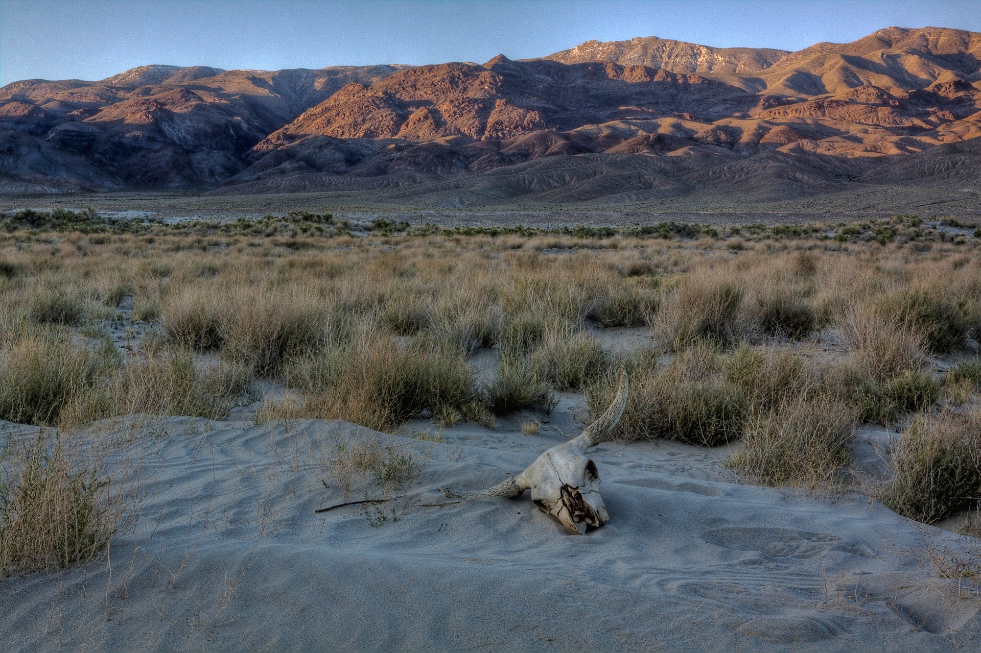 1920x1279 HDQ Images desert