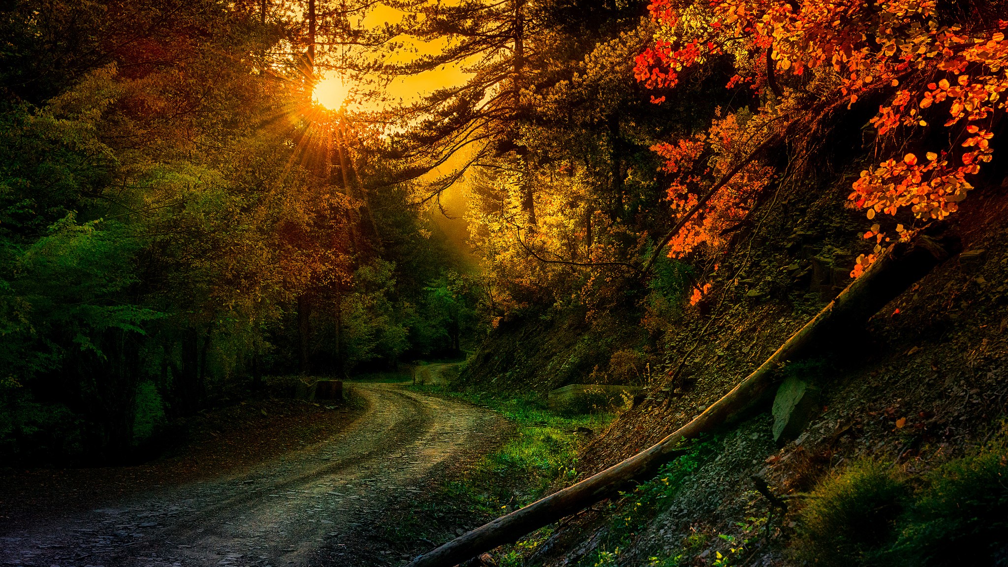 path  for mac