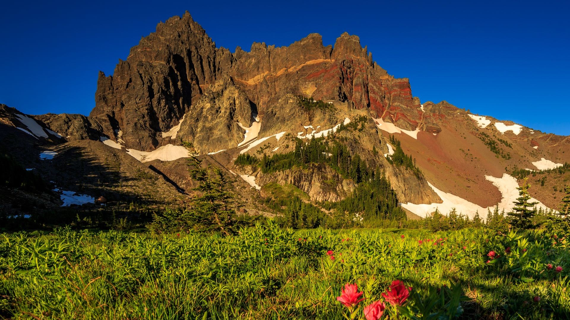 Delman Ross - mount three fingered jack wallpaper hd pack - 1920x1080 px