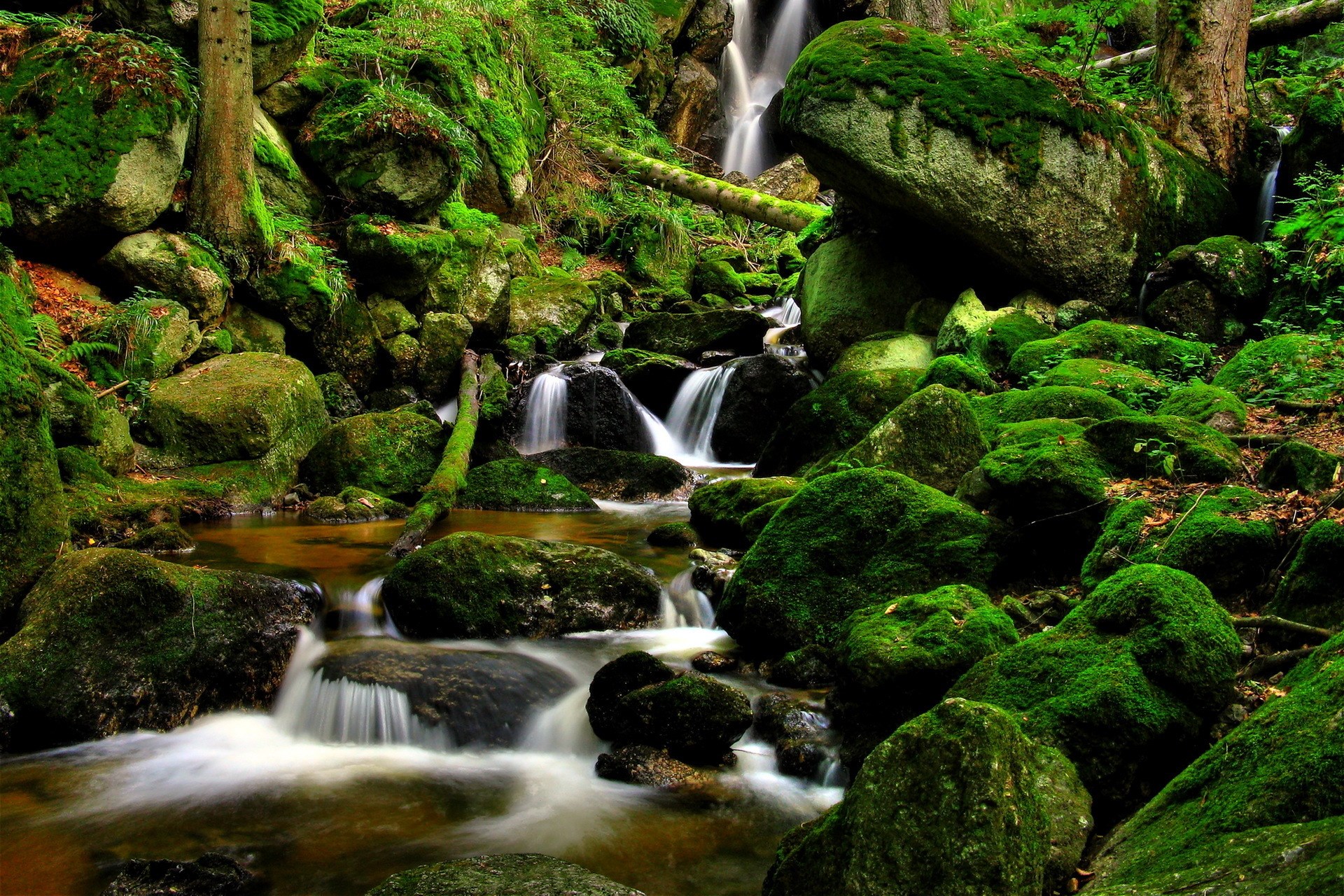Prescott Birds - Beautiful waterfall wallpaper - 1920x1280 px