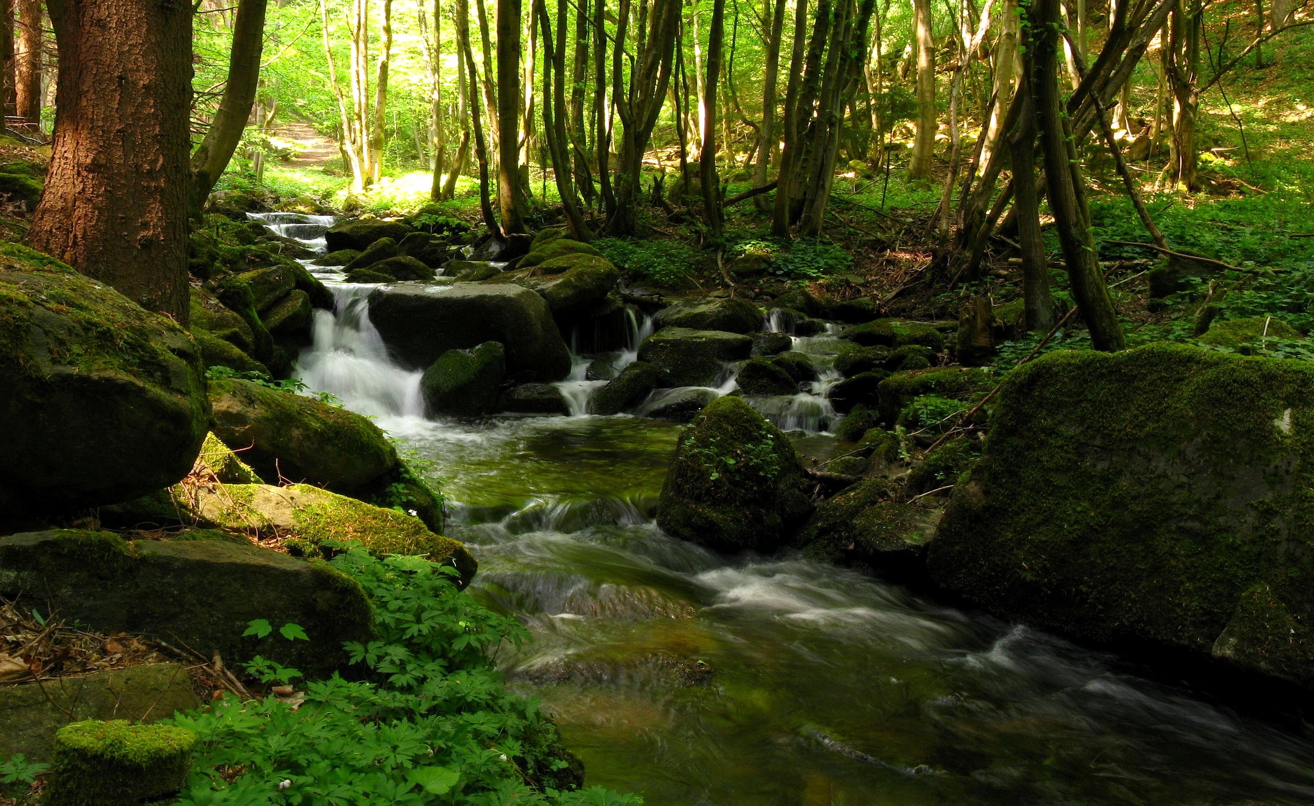 waterfall pictures to download by Felman Longman (2017-03-06)