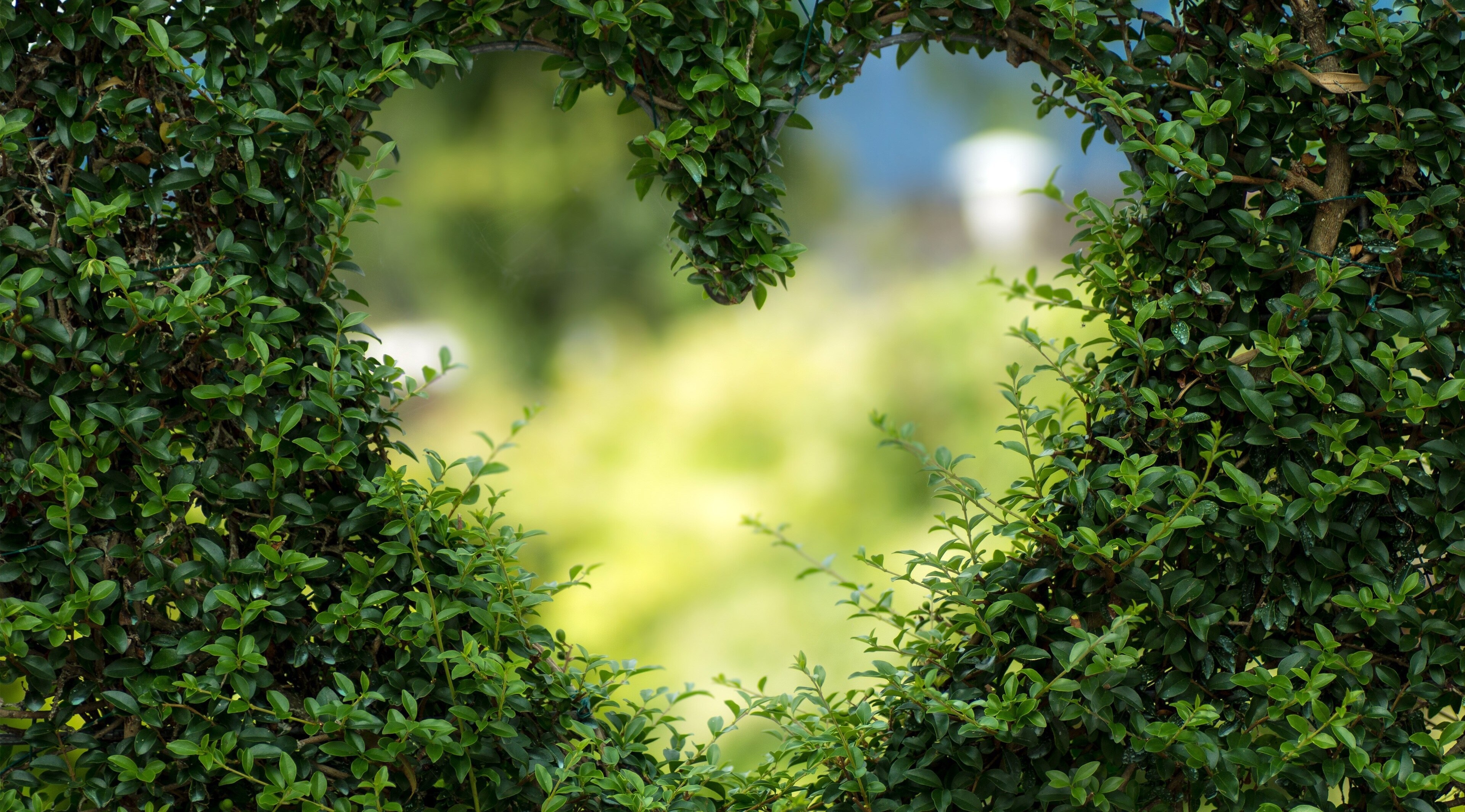 3840x2130 love image 4k wallpaper background desktop