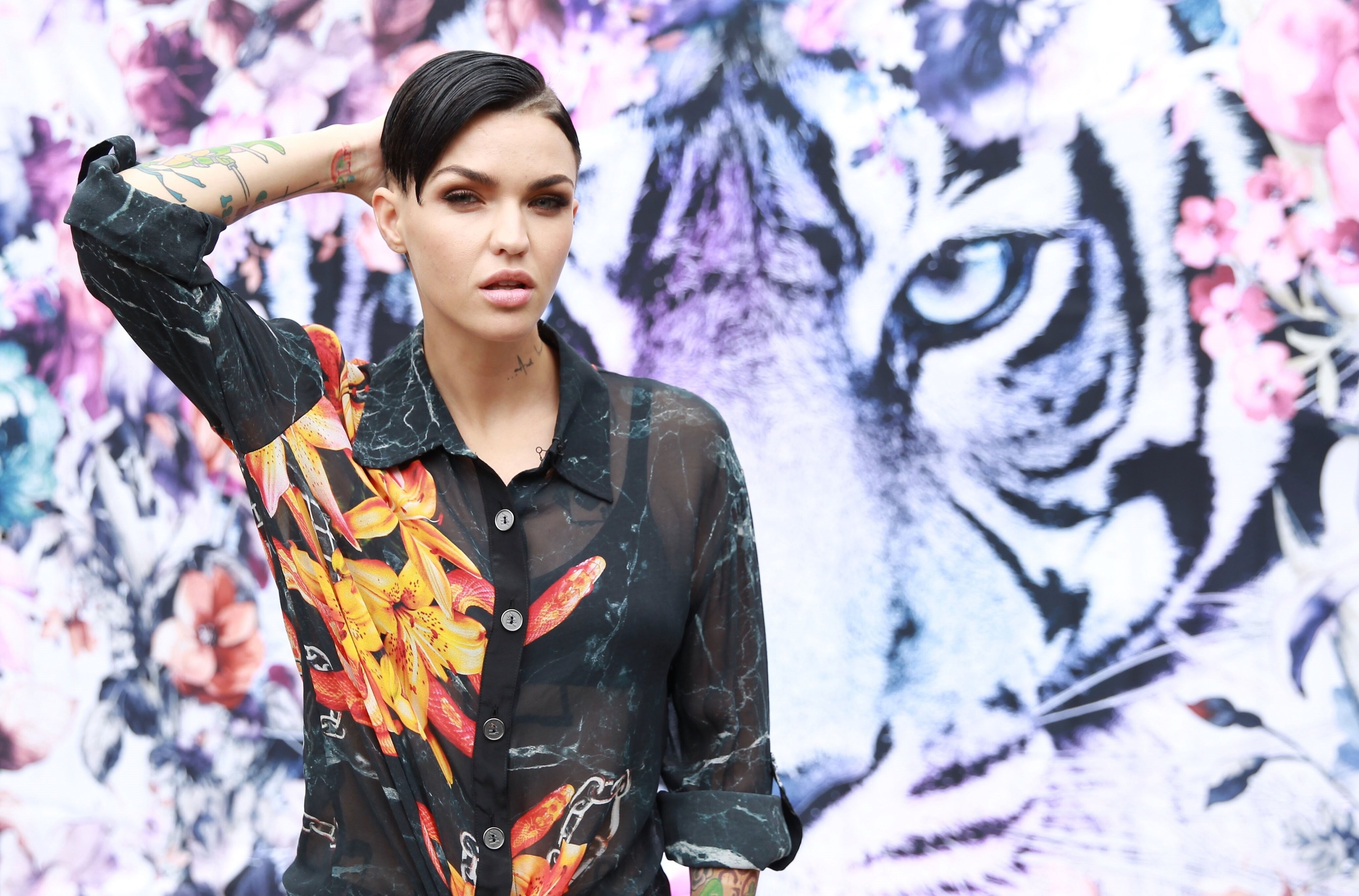 3840x2532 ruby rose 4k hd quality desktop wallpaper