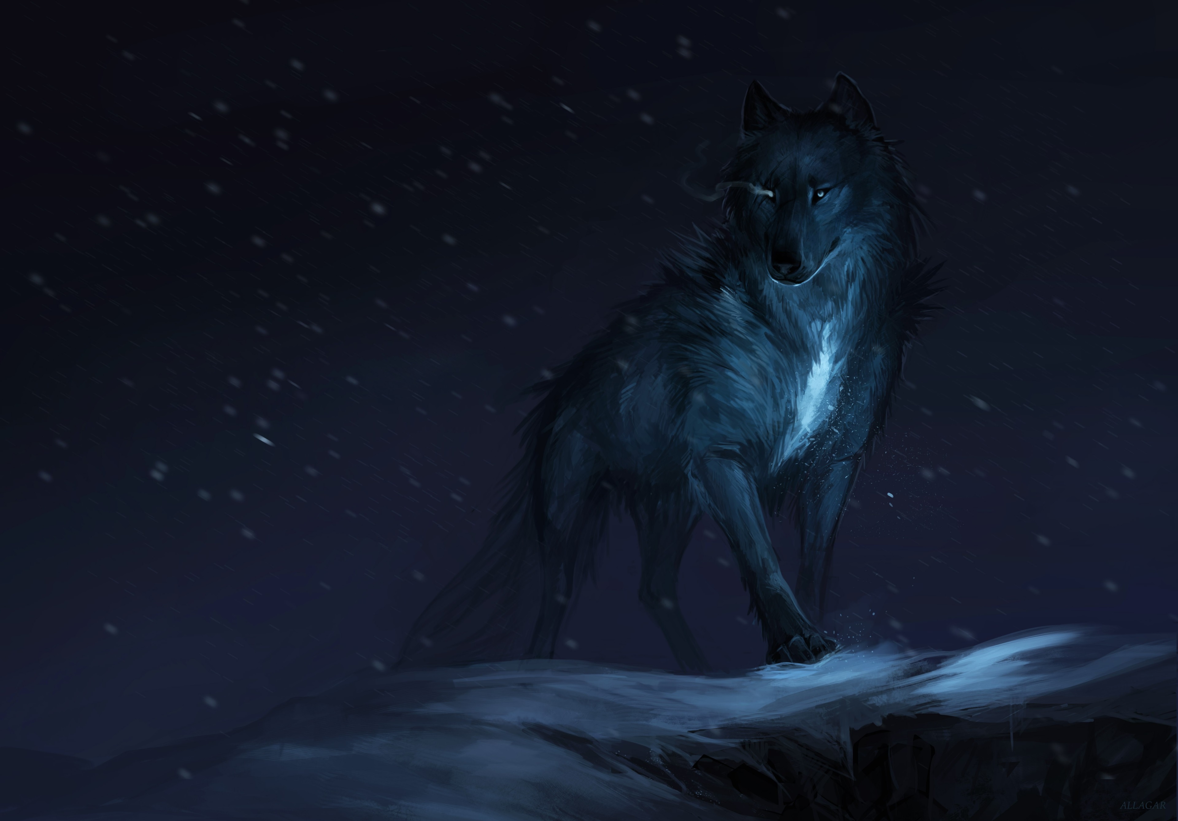 3840x2676 wolf 4k hd image