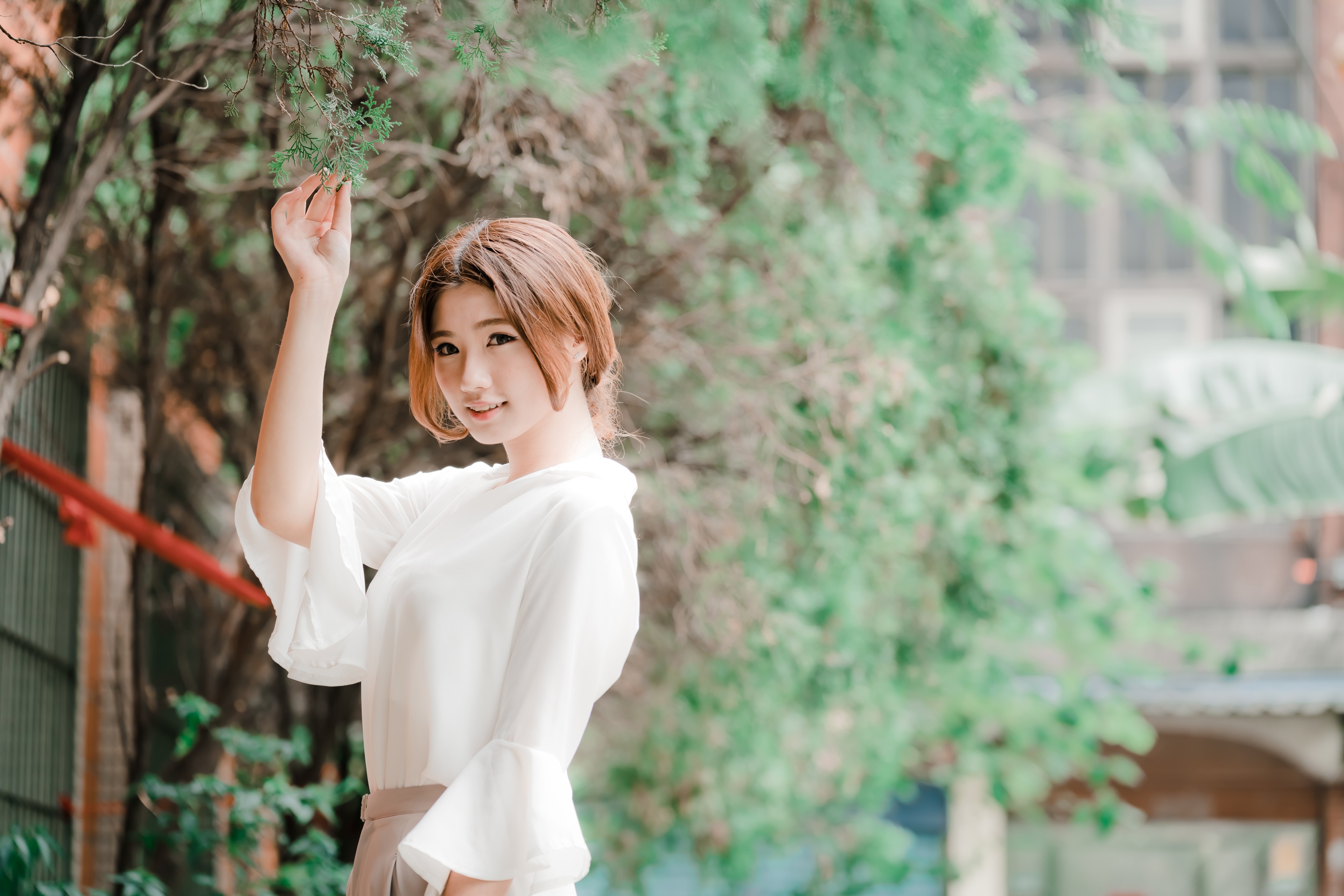 3840x2561 asian 4k free wallpaper downloads for pc