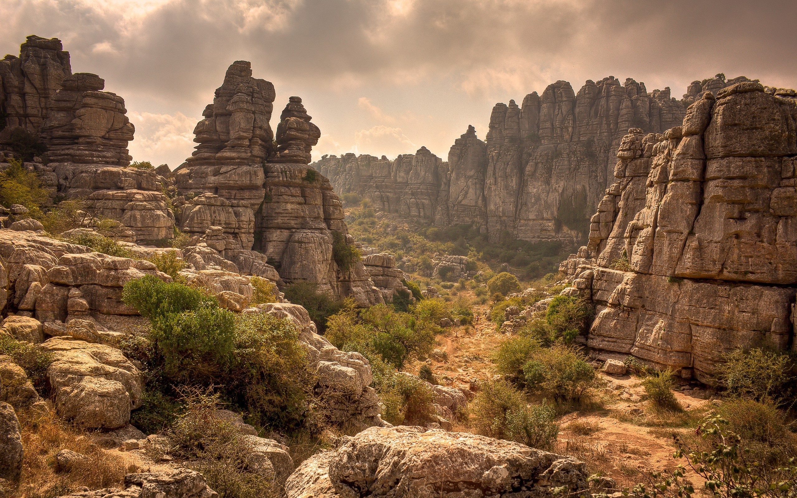 nature rock wallpaper