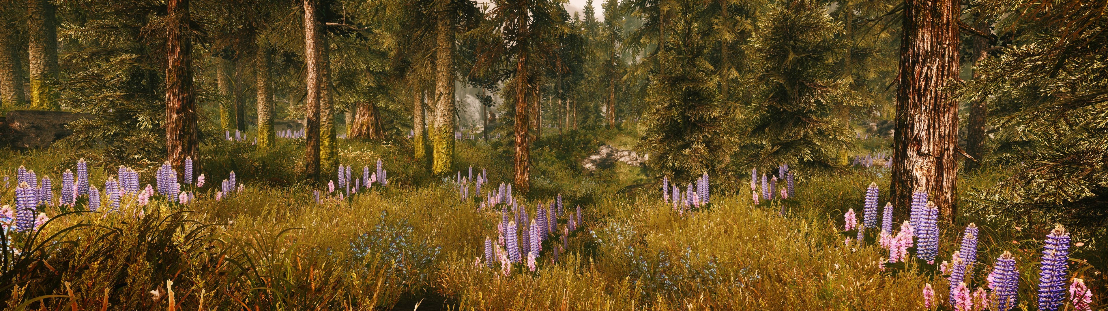 the elder scrolls v skyrim multiple display mods landscape grass wallpaper