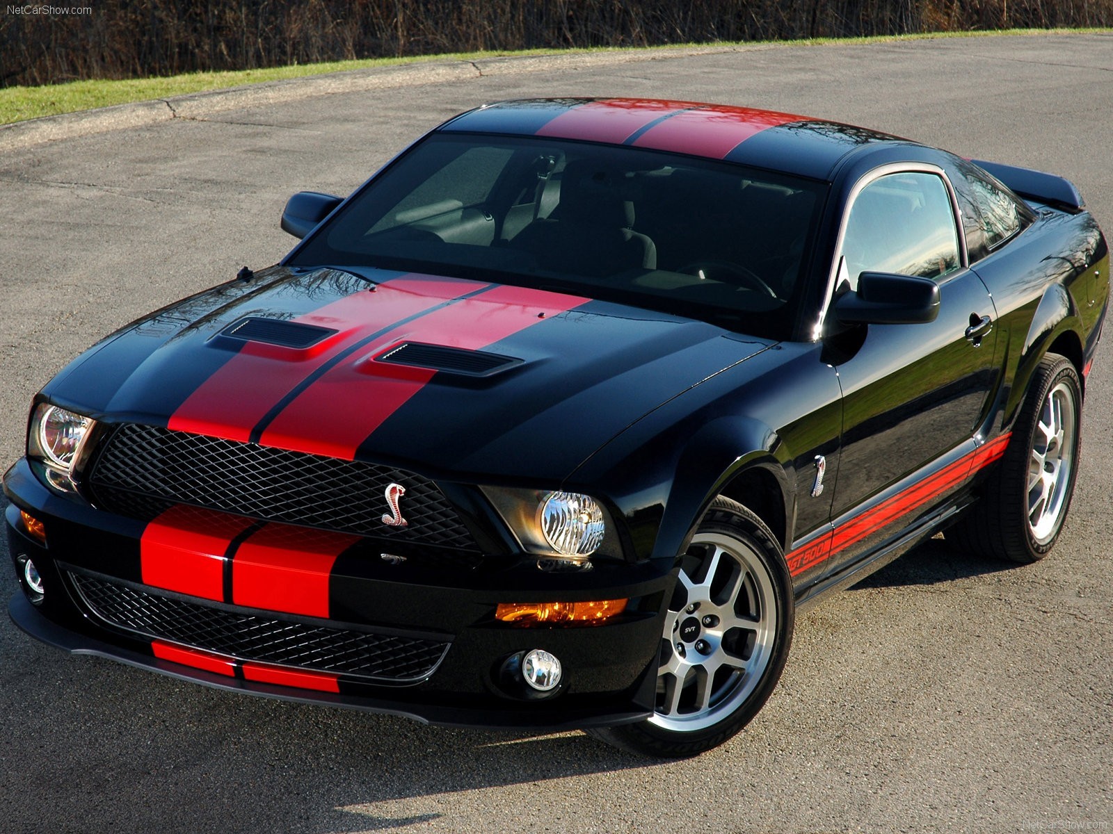 1600x1200 car ford shelby wallpaper JPG 541 kB