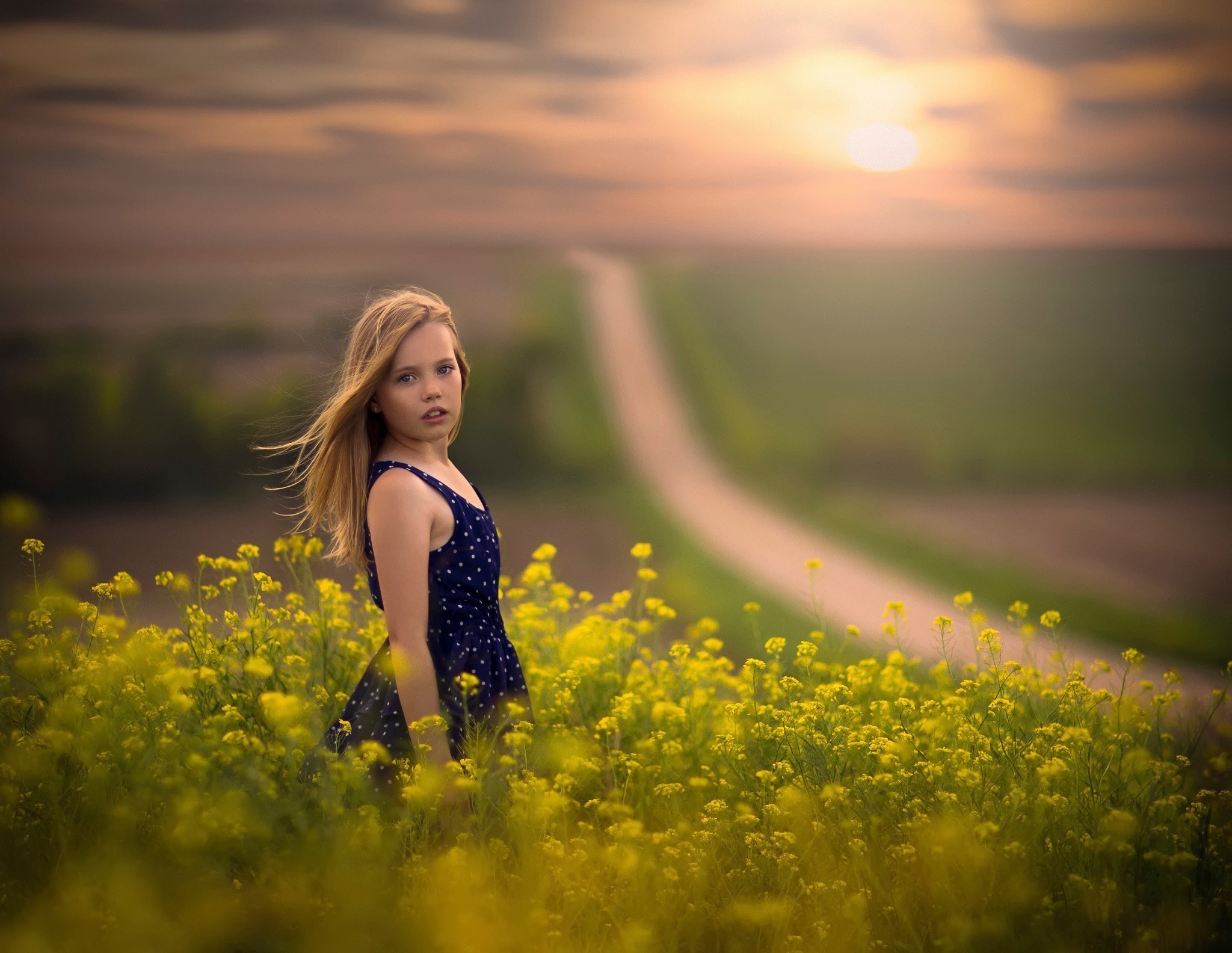 yellow flowers flowers children blonde path polka dots sunlight nebraska depth of field jake olson wallpaper