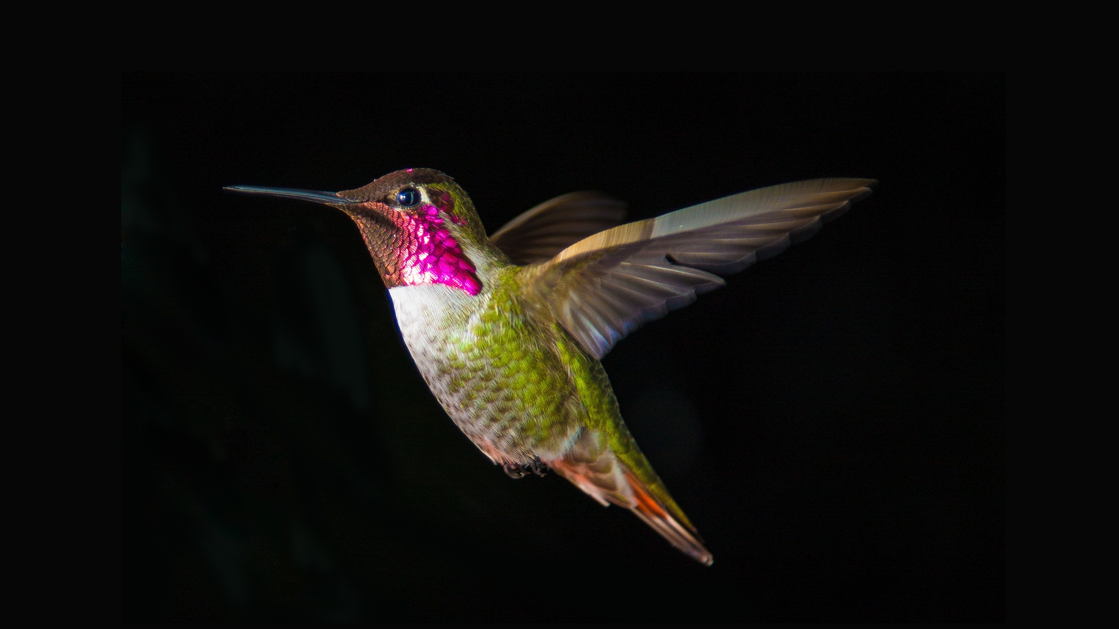 3840x2160 nature wallpaper JPG 908 kB