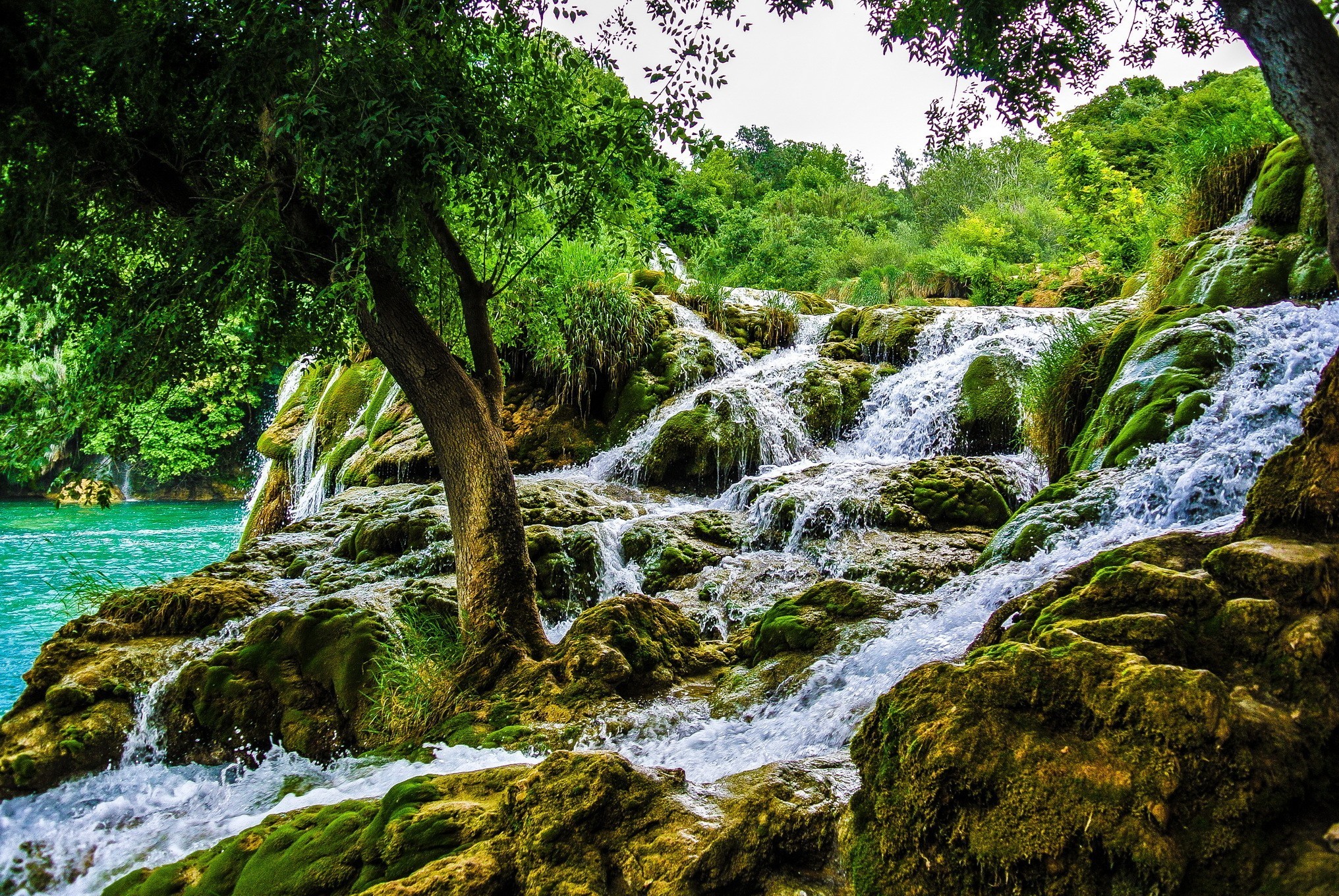 waterfall trees water landscape nature wallpaper