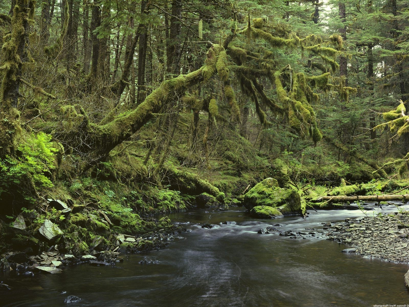1600x1200 landscape wallpaper JPG 842 kB