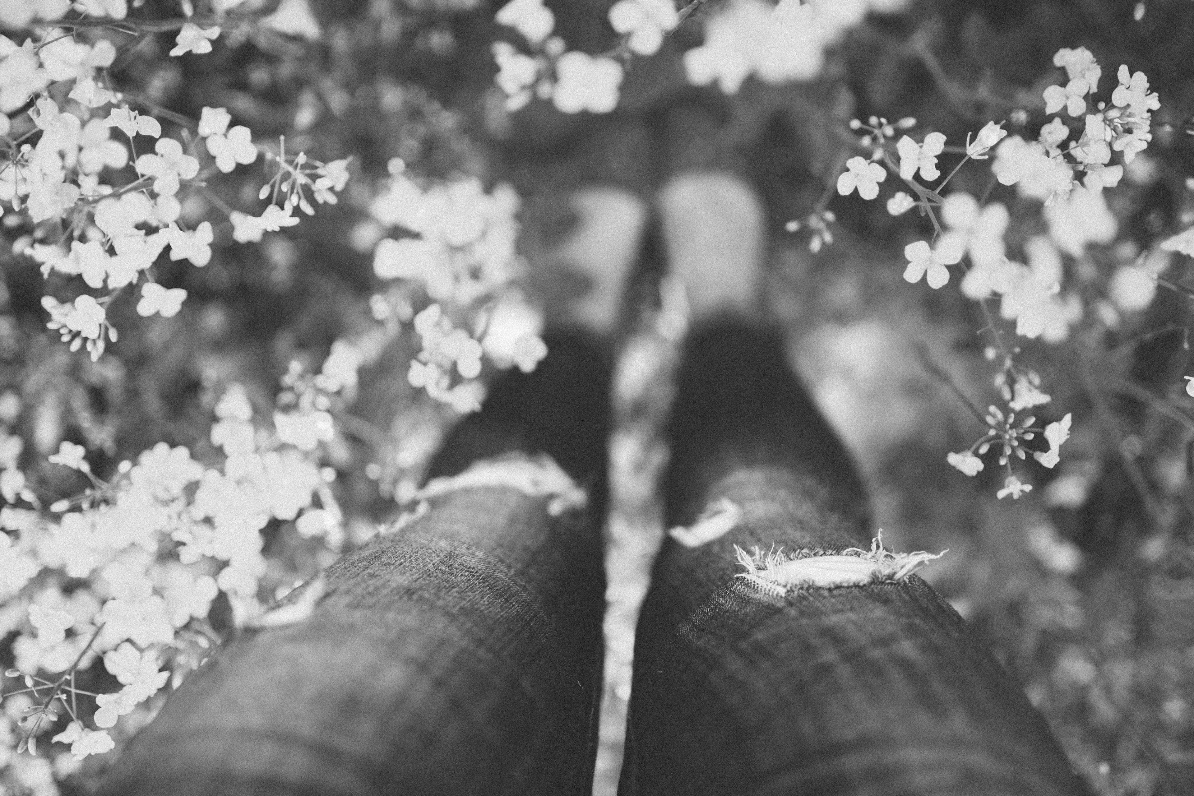 blackampwhite, bw, flowers, girl, jeans, legs, nature, pants, spring, stand, standing, summer, vintage, woman 4k wallpaper
