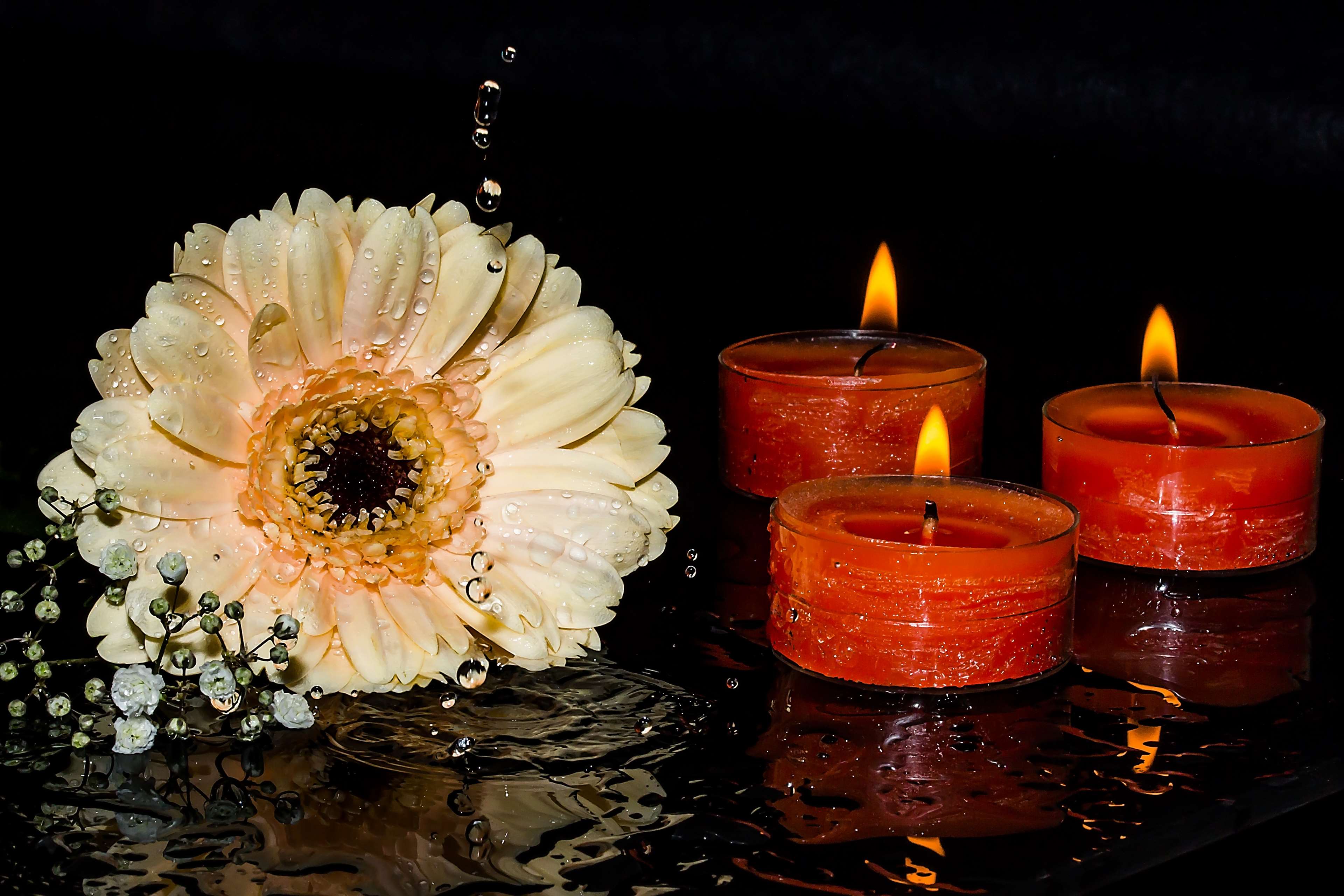 burning candles, candlelight, candles, drop of water, falling drops, flame, flowers, gerbera, gypsophila, light, mirroring, nature, orange, petals, water 4k wallpaper