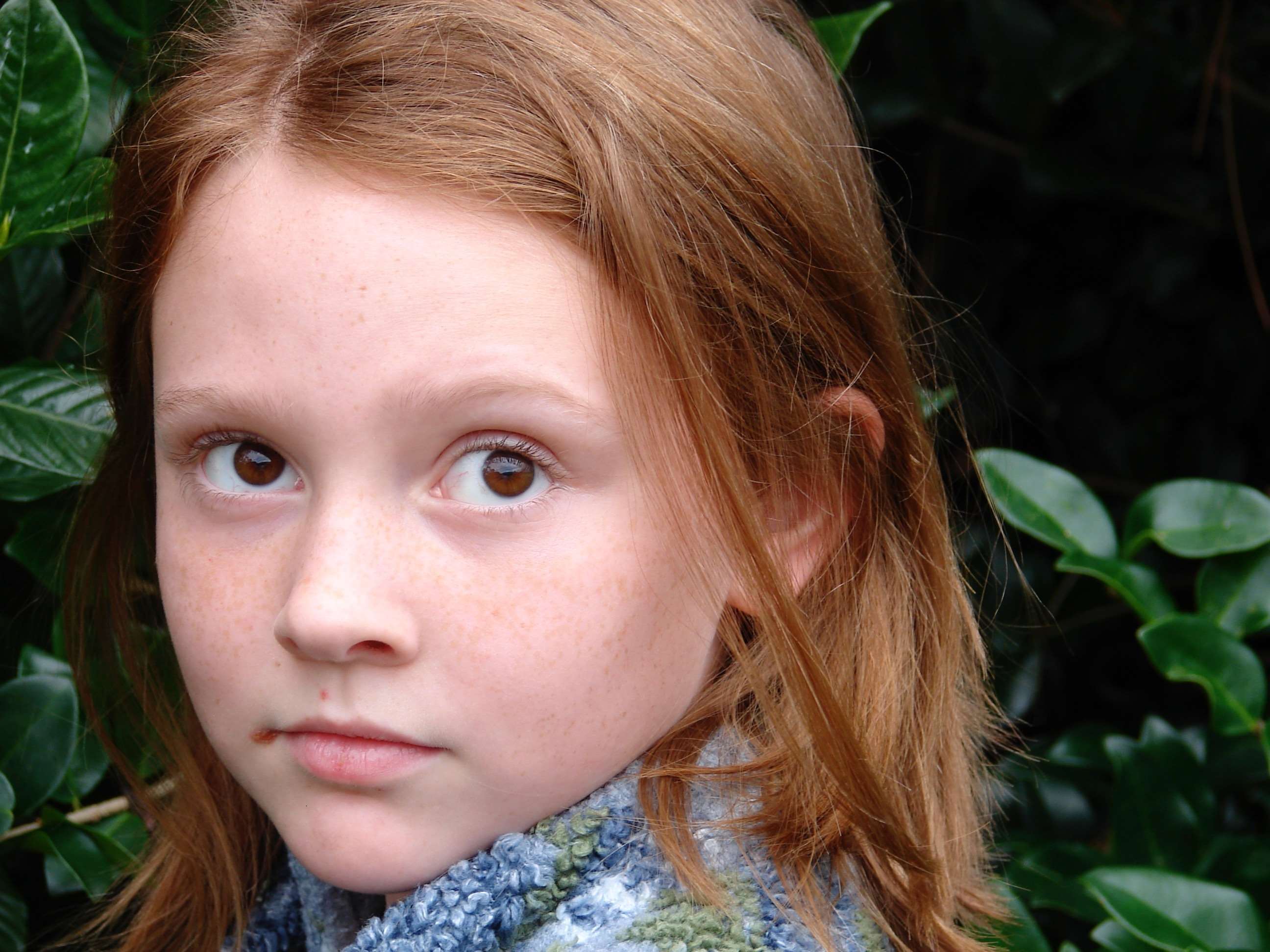 apprehensive, careful, cautious, child, face, female, fleeting, gaze, girl, glance, glimpse, head, leery, lovely, natural, nature, off guard, outdoor, pensive, redhead, wary, wistful, wonder, young, youth wallpaper