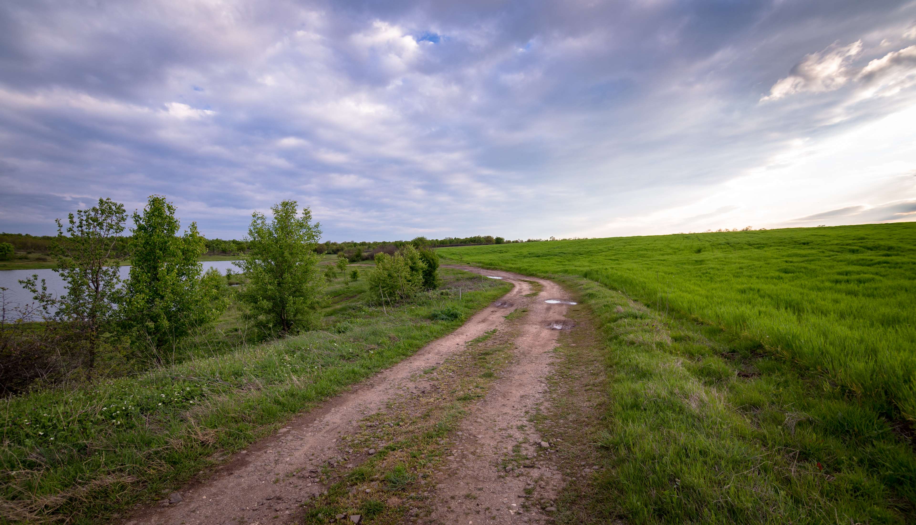 agriculture, clouds, country, countryside, cropland, crops, farm, farmland, field, grass, grassland, green, growth, lake, landscape, nature, outdoors, road, rural, scenic, sky, trees, unpaved pathway 4k wallpaper