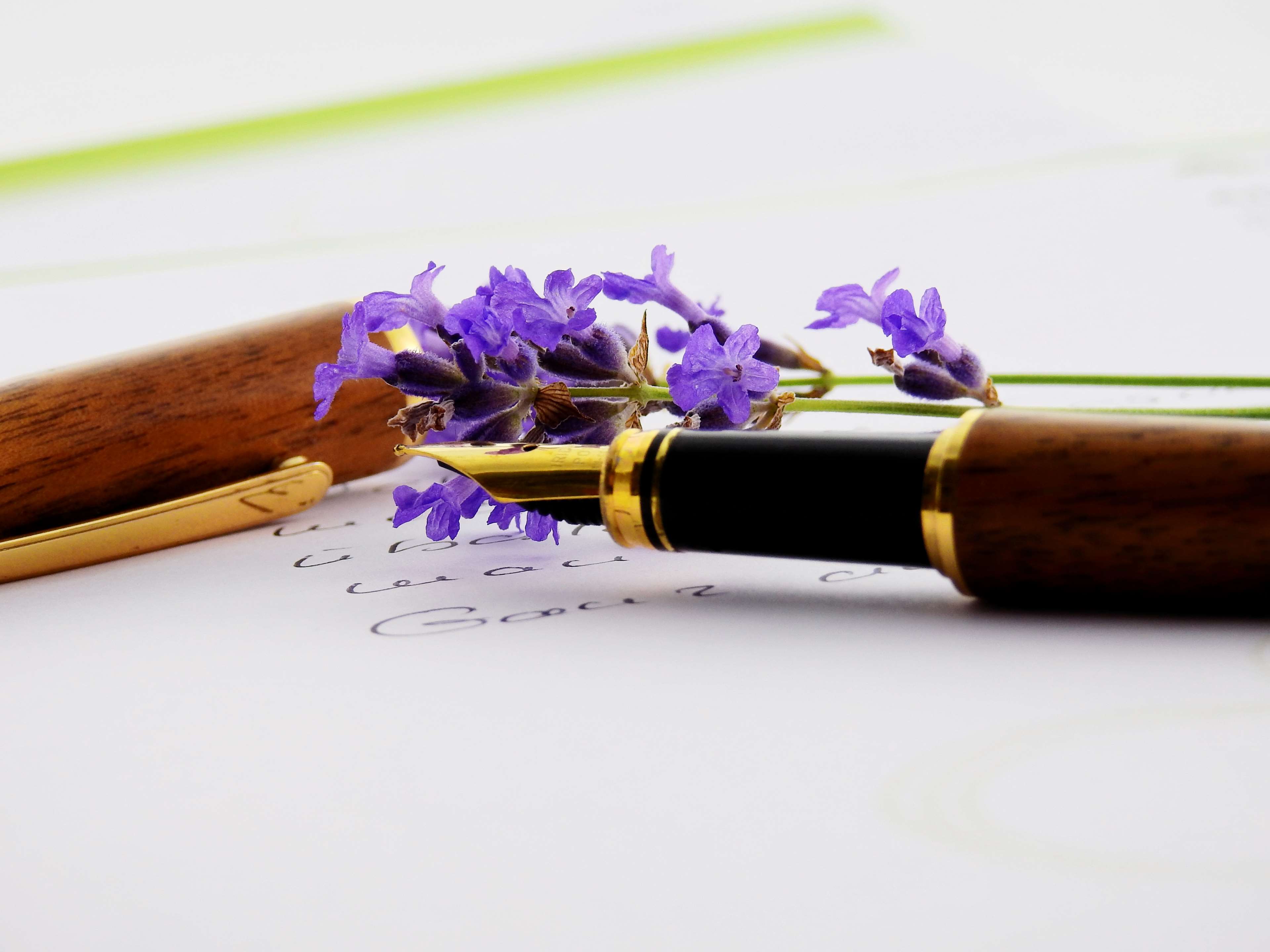 bloom, blossom, close up, flora, flowers, fountain pen, paper, pen, writing 4k wallpaper
