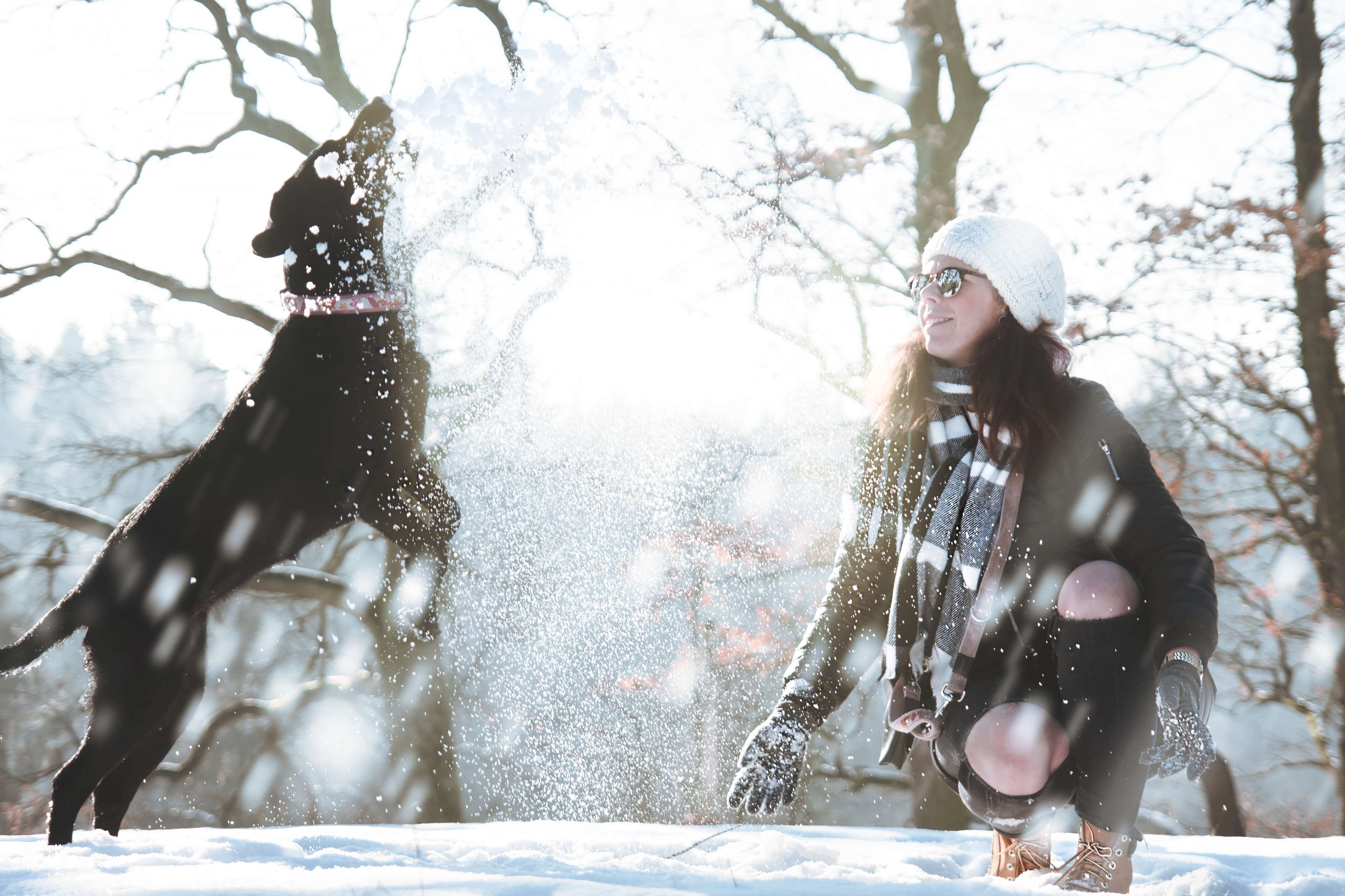 adult, animal, beautiful, cold, daylight, dog, enjoying, enjoyment, female, freeze, freezing, frost, frosty, frozen, fun, girl, happy, ice, icy, joy, light, outdoors, person, pet, play, recreation, season, snow, snowflake, t 4k wallpaper