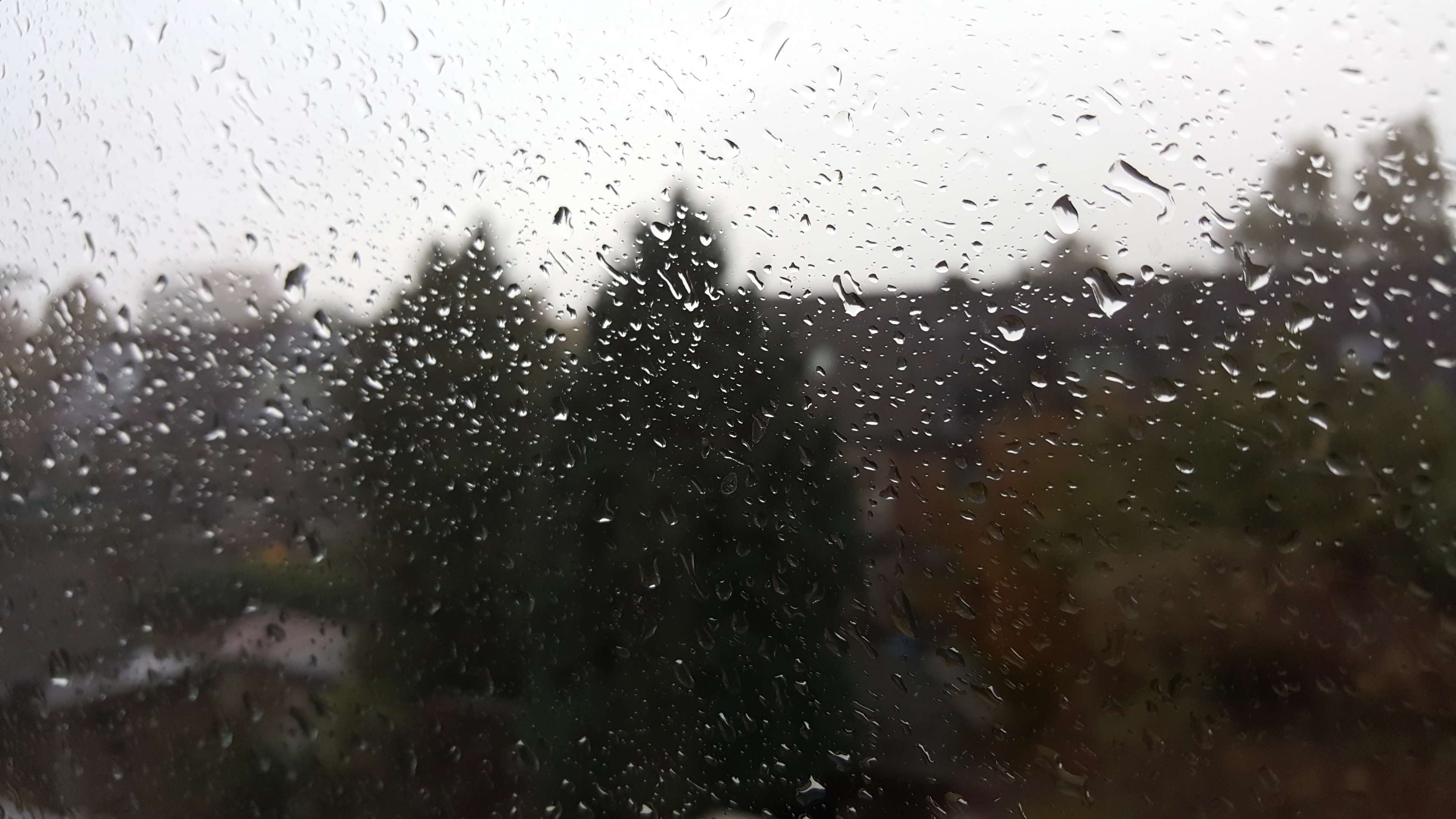 3840x2160 autumn, drops of water, glass window, rainy 4k wallpaper JPG 400 kB