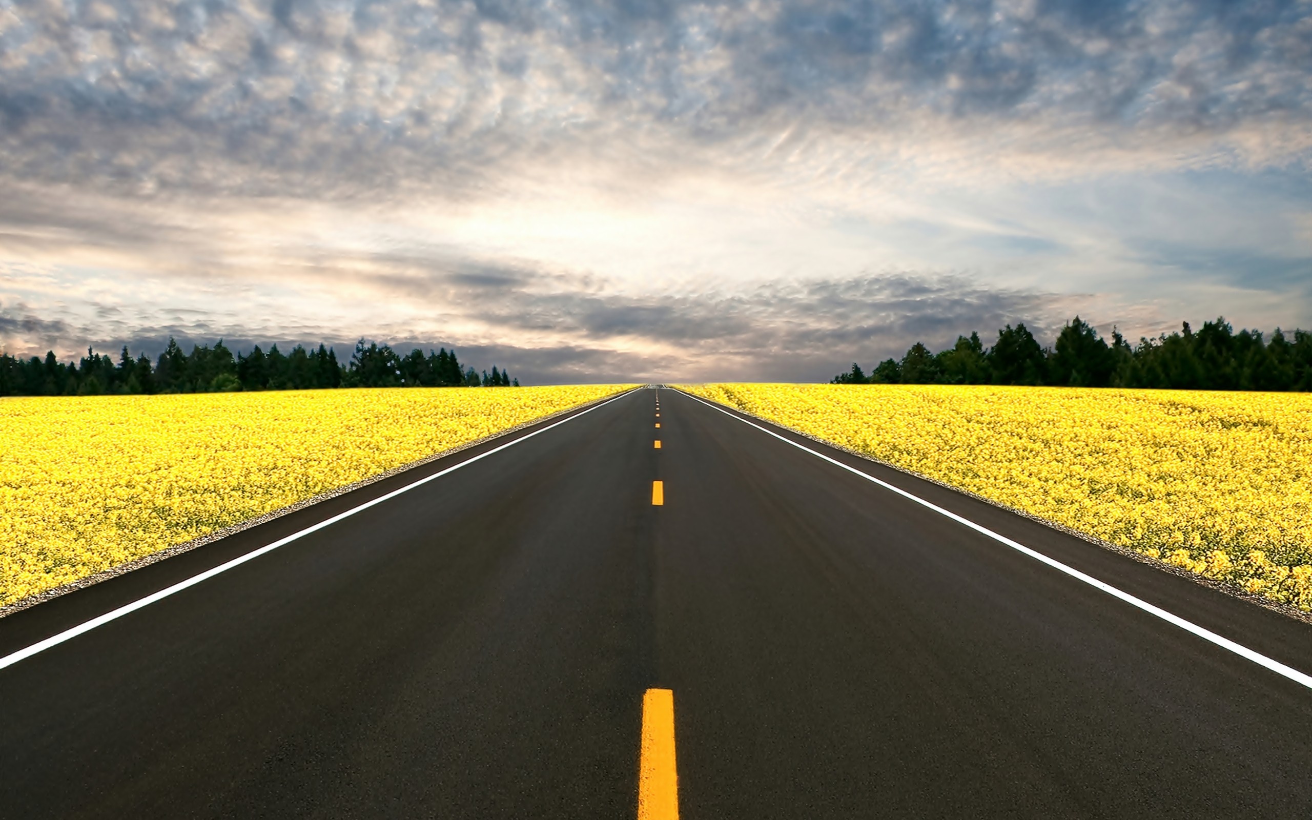 2560x1600 highway, nature, roads