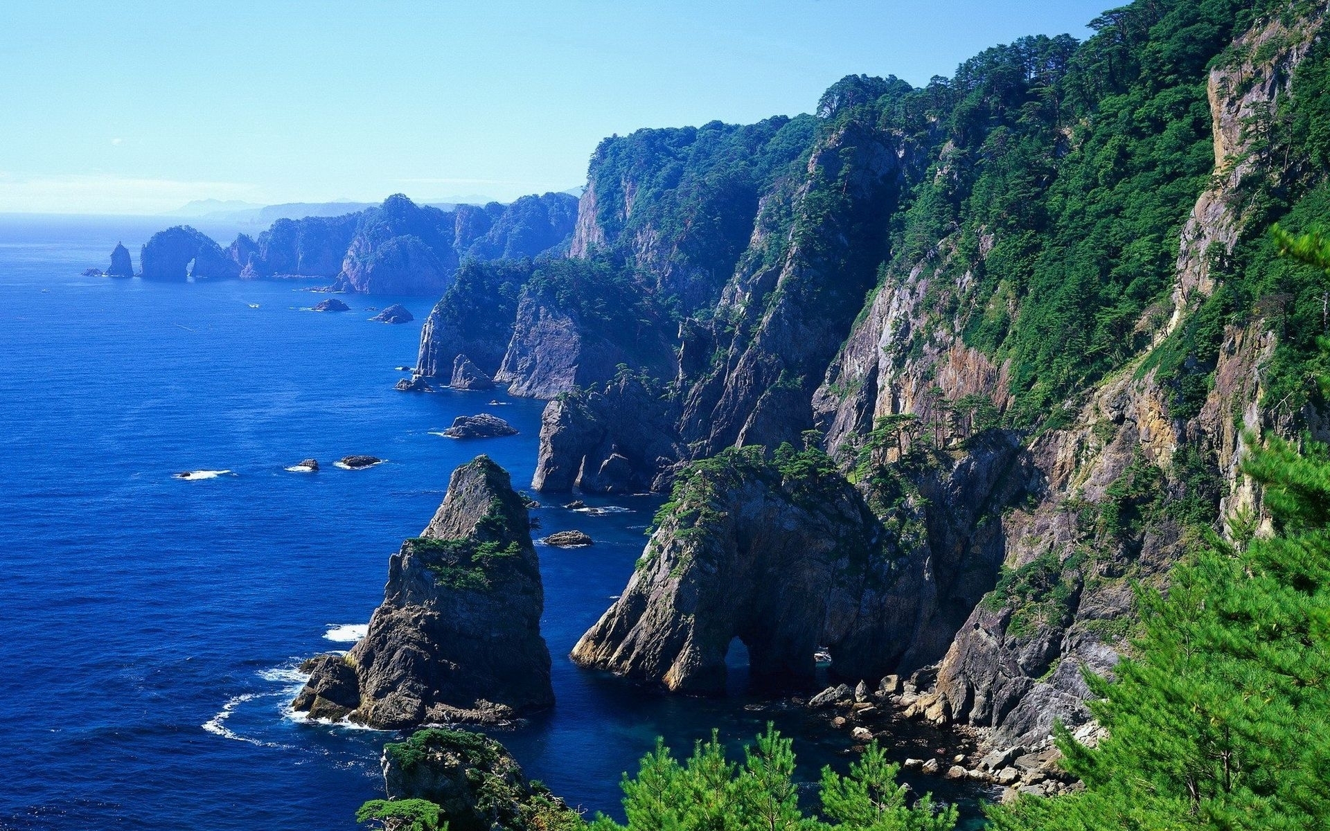 1920x1200 cliff, coast, grass, herbs, landscape, mountains, ocean, rocks, sea, shore, sky, trees, water