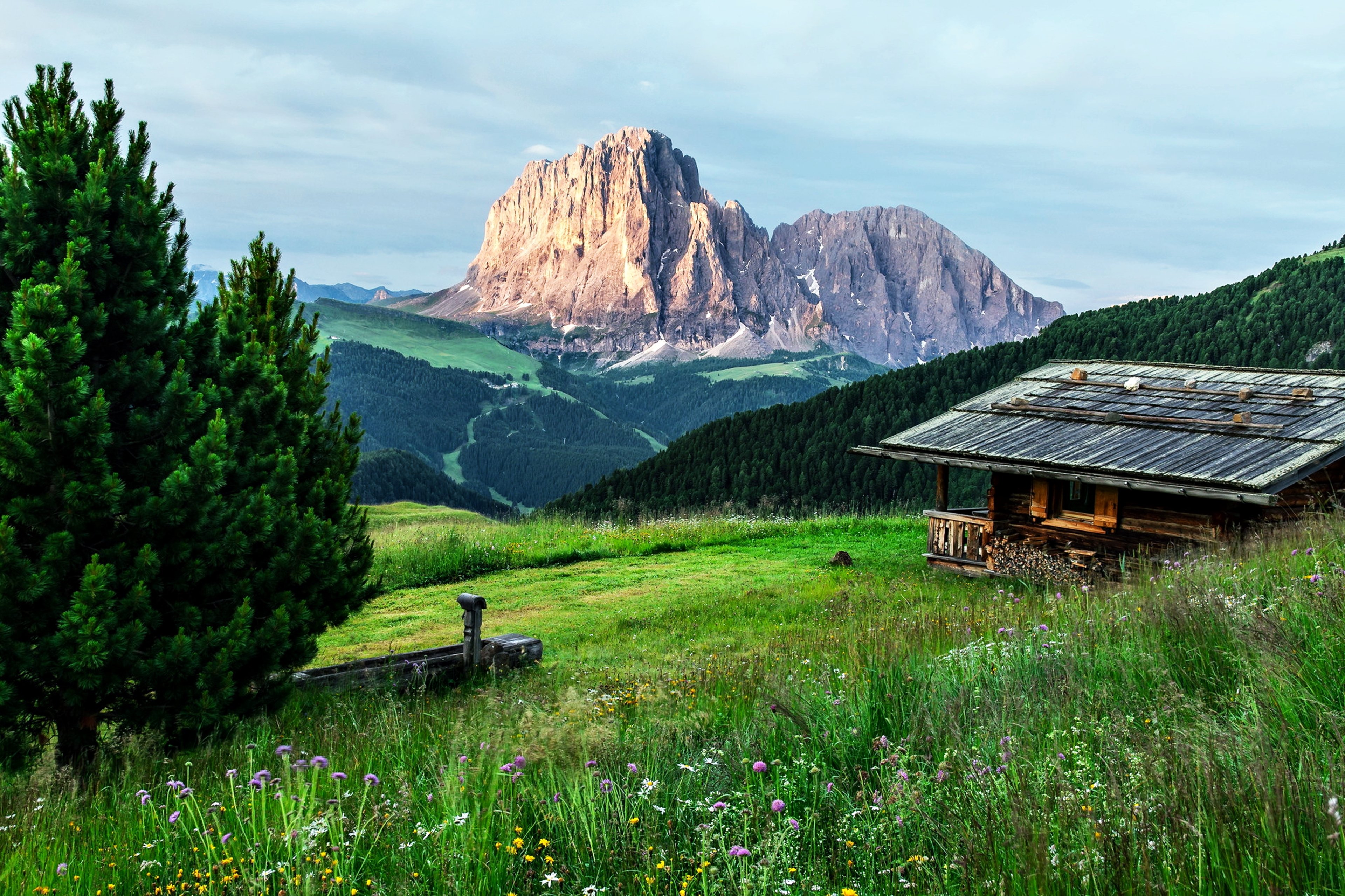 Алтай Фото Природа Домик В Лесу