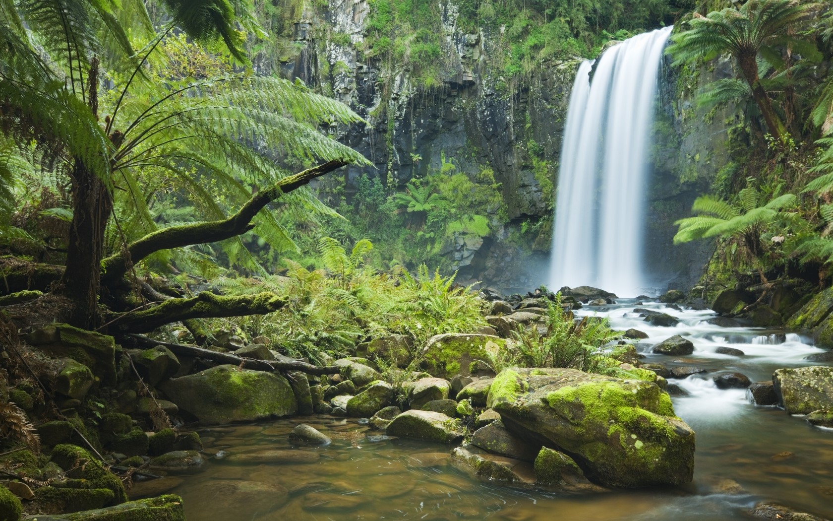 1680x1050 Falls, Stones, Jungle, Vegetation, Moss, Stream wallpaper JPG 