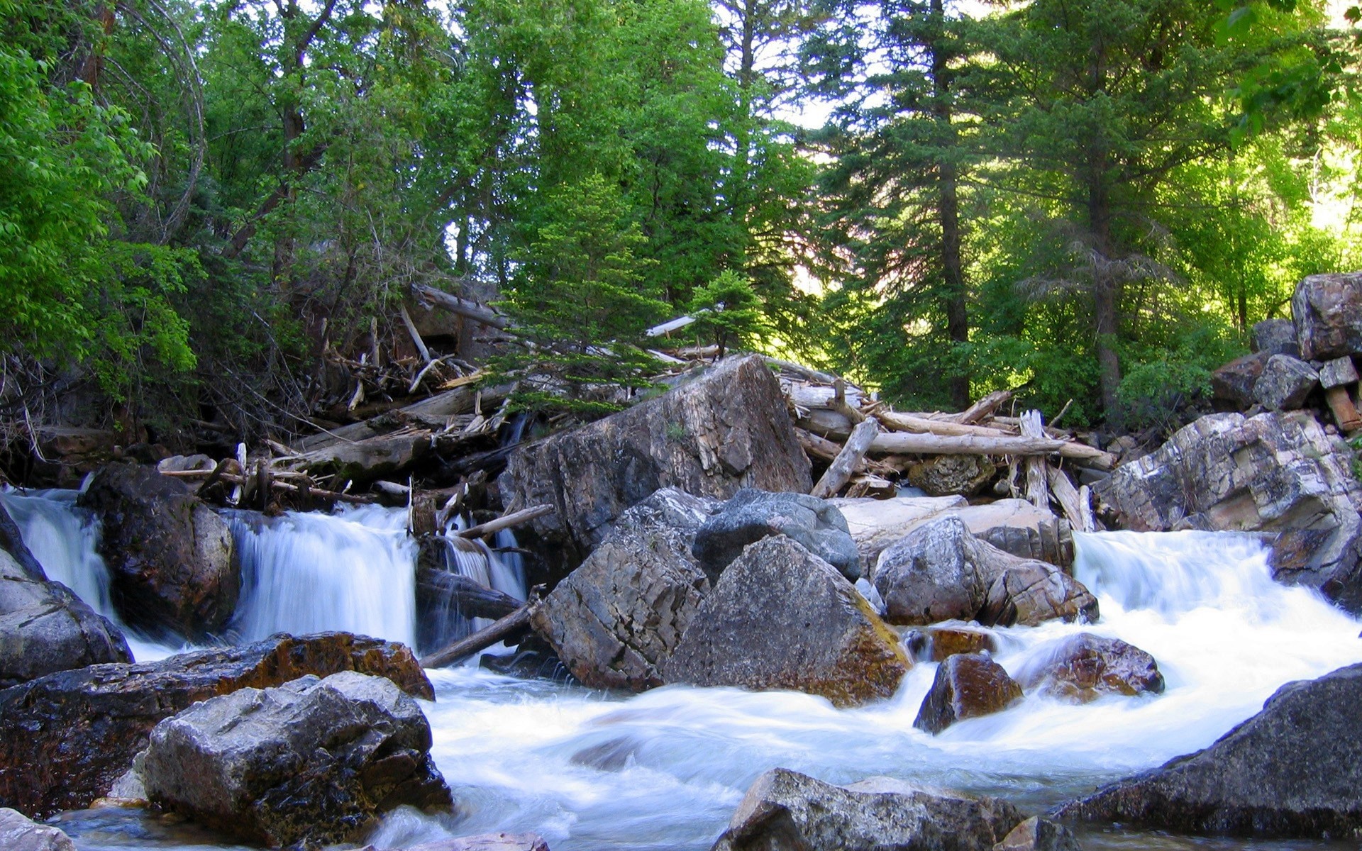 Trees, Wood, Logs, Dam, River, Stones wallpaper