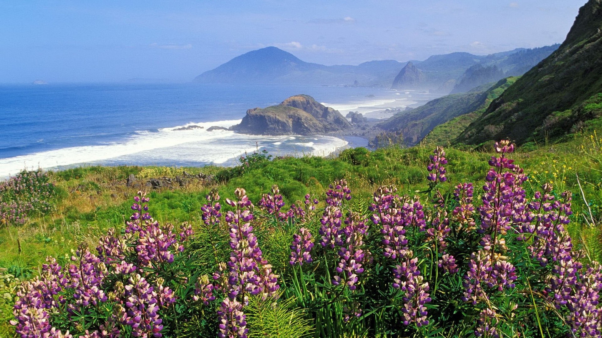 1920x1080 Mountains, Coast, Sea, Waves, Flowers, Greens wallpaper JPG 