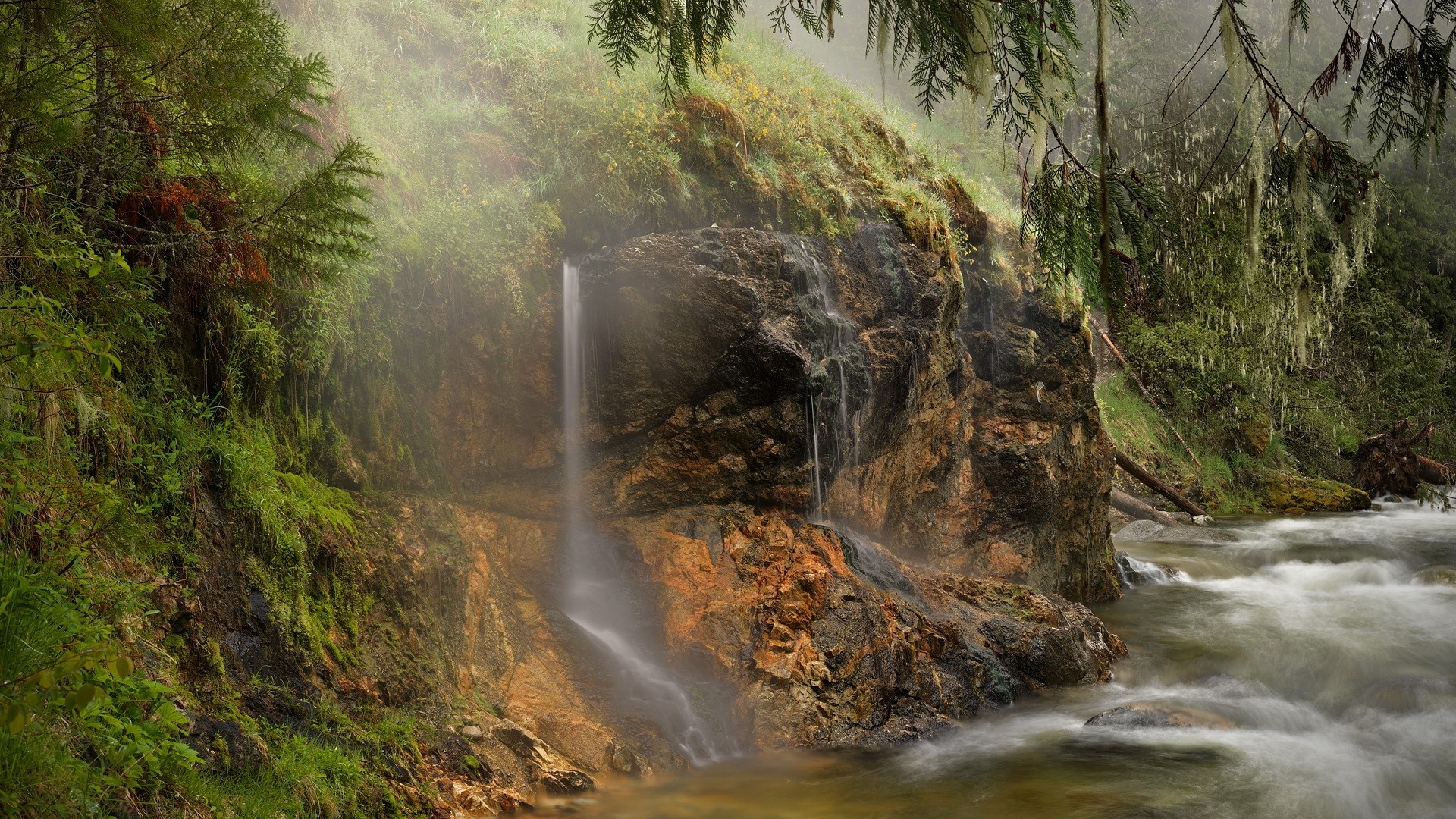 1920x1080 River, Falls, Stream, Streams, Jungle, Rock, Vegetation, Damp, Dampness wallpaper JPG 