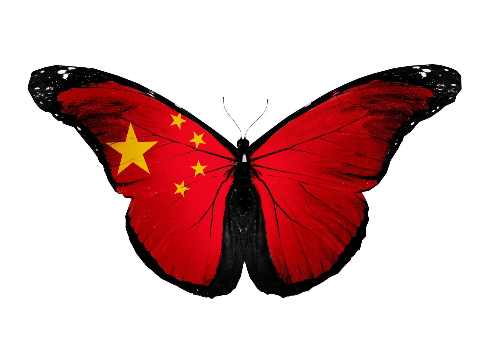 Butterfly china. Красные бабочки на белом фоне. Китайские бабочки. Красная бабочка без фона. Красная бабочка летает.