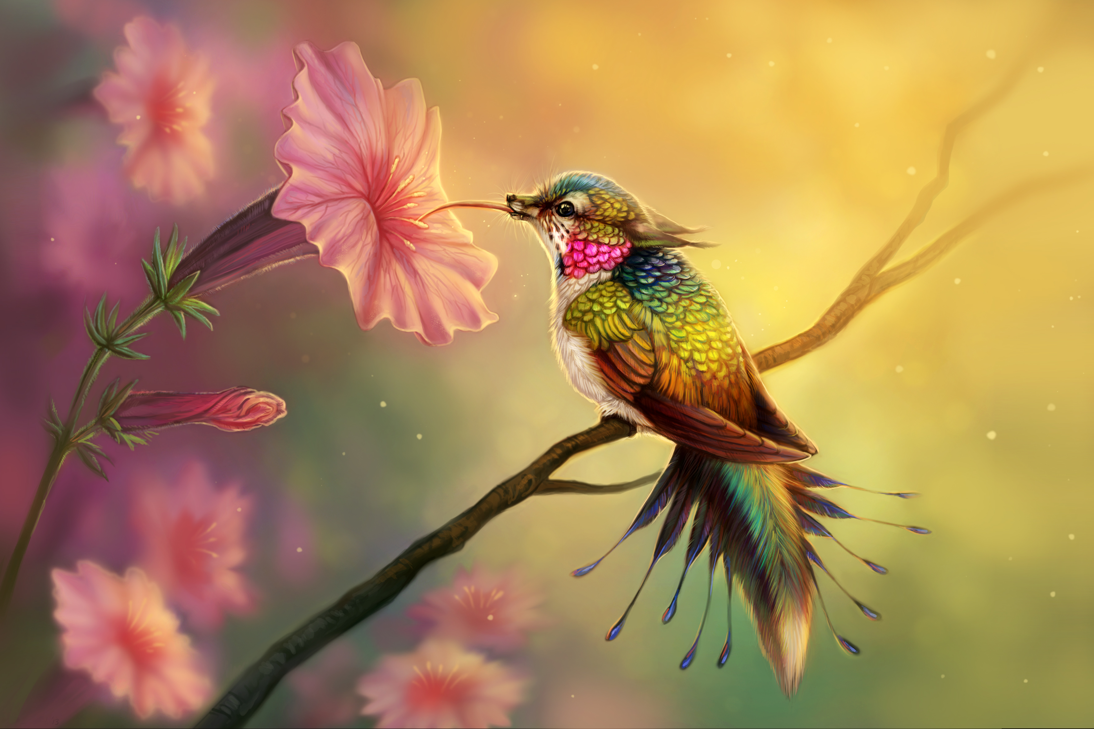 hummingbird, birds, 4k, hd, abstract, artist, digital art
