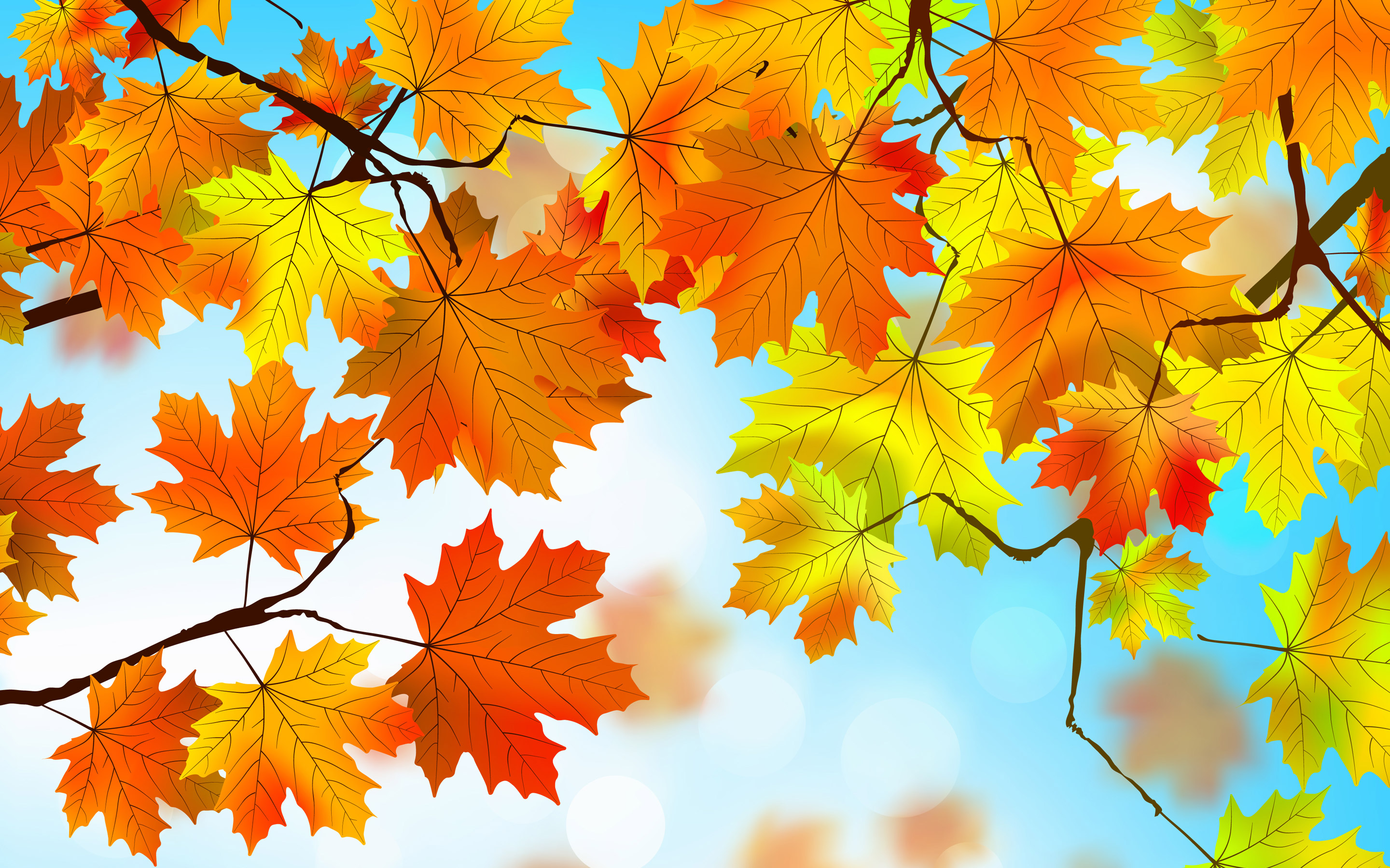  autumn, leaves, nature