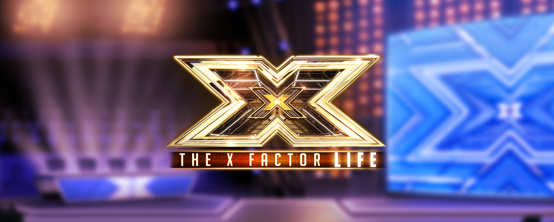 X Factor Faker