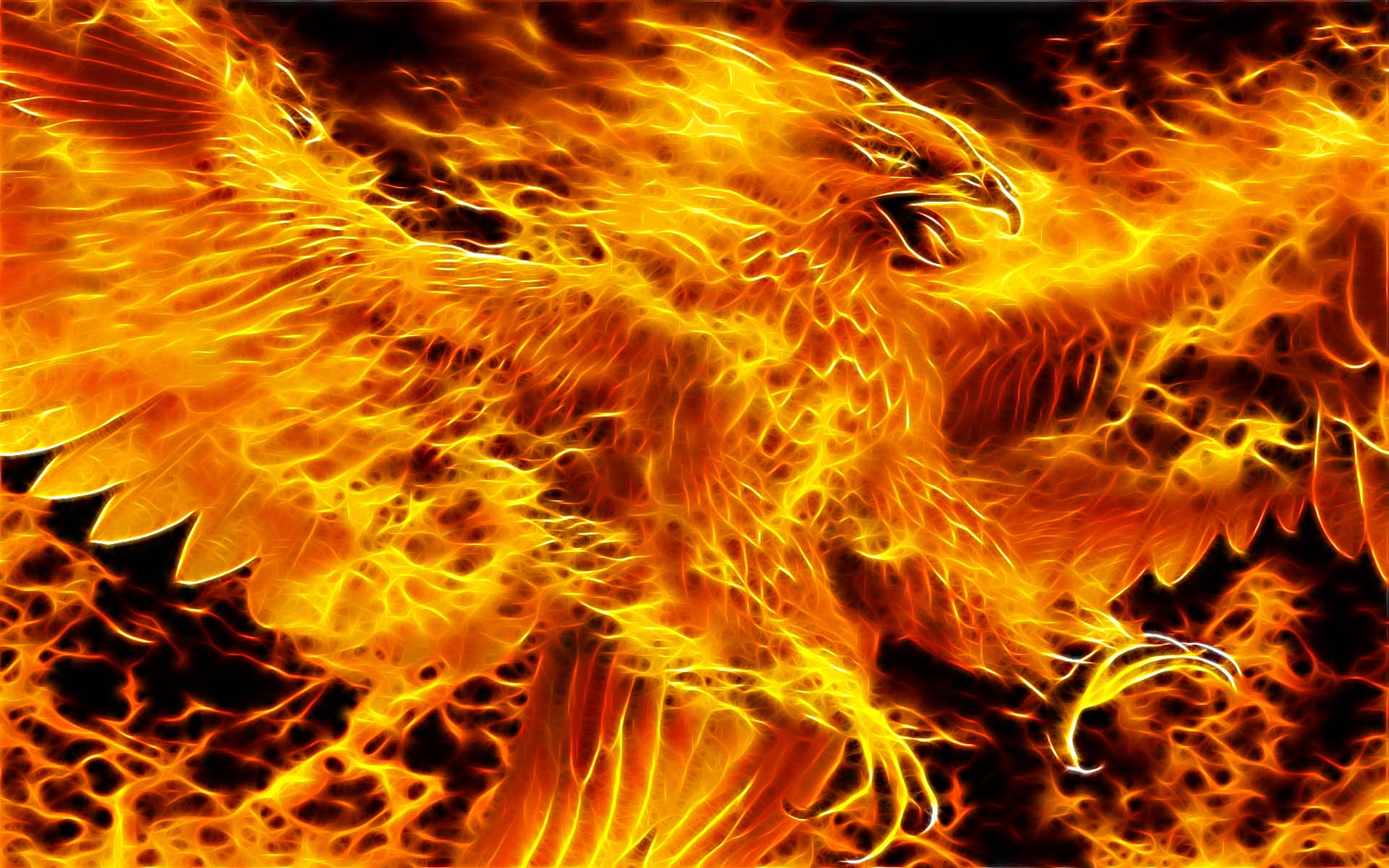 1920x1200 phoenix wallpaper free hd widescreen