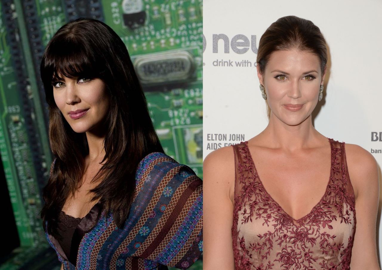 Sarah Lancaster Fake