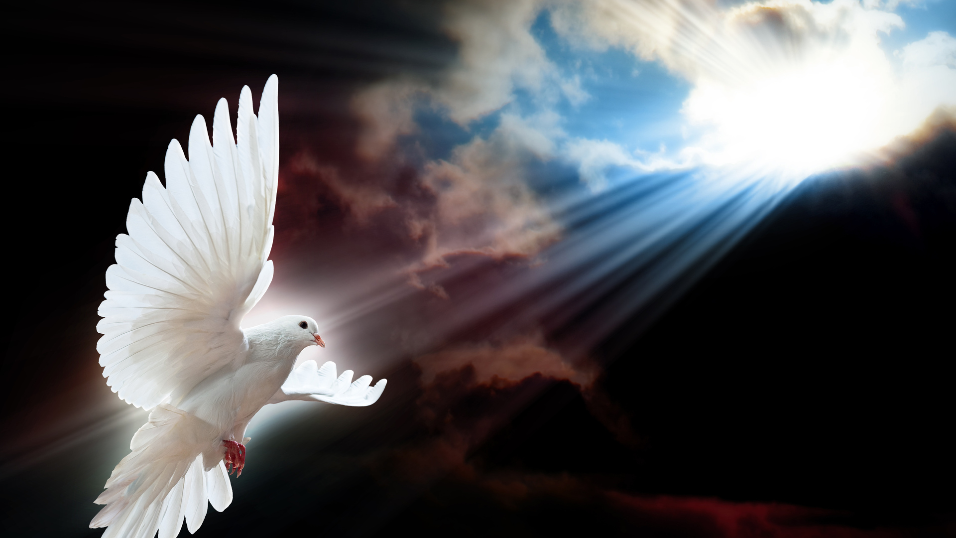 1920x1080 dove, rays, Sky, flight, sun, bird